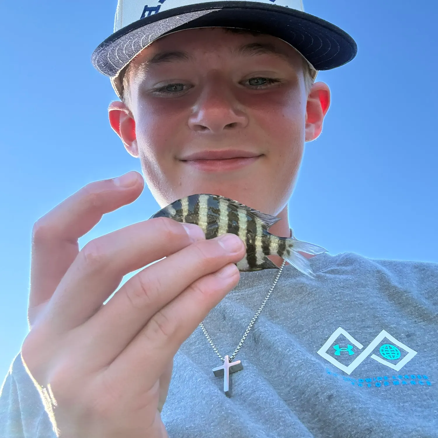 Sheepshead caught on Fishbrain