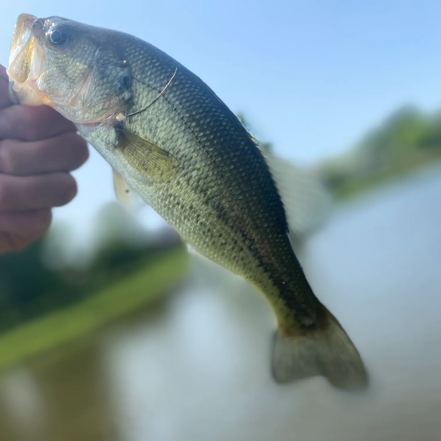 angler catch