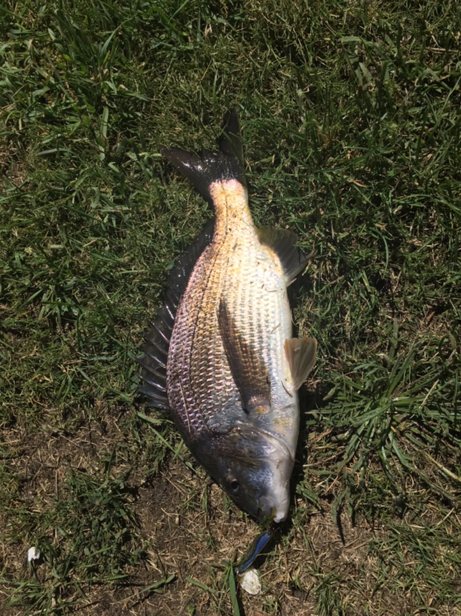 Post image from toliver2813