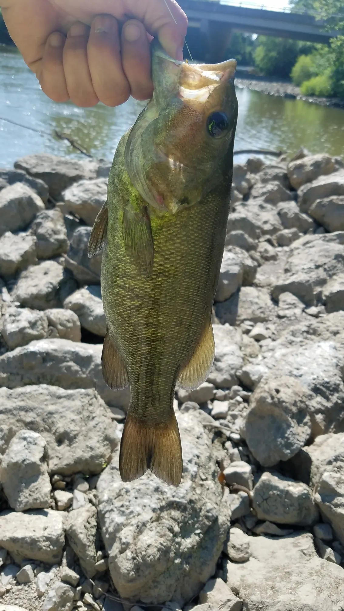 Post image from RiverRecon