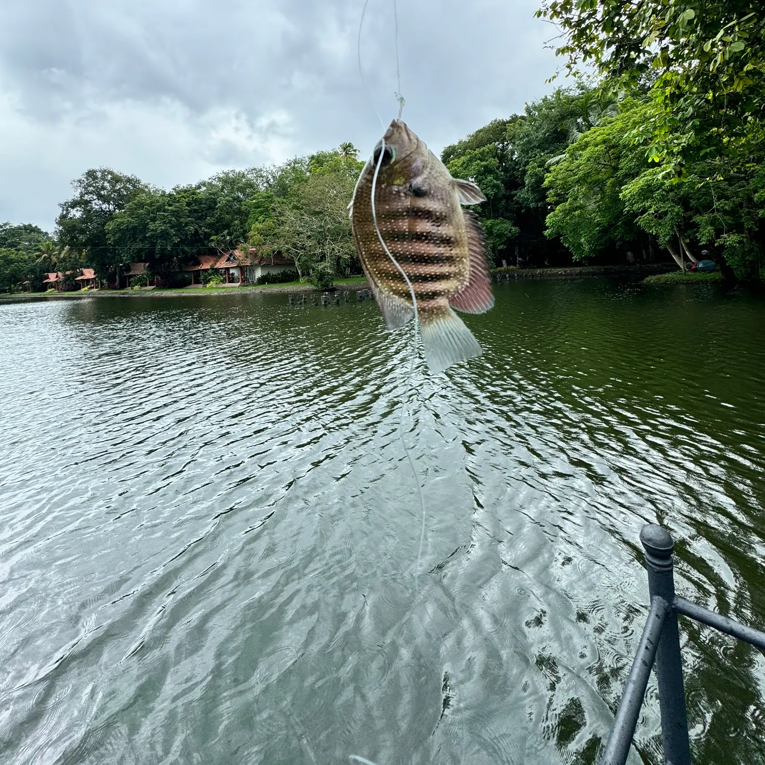 Fishing in India ️️️️ Explore the best fishing spots and areas