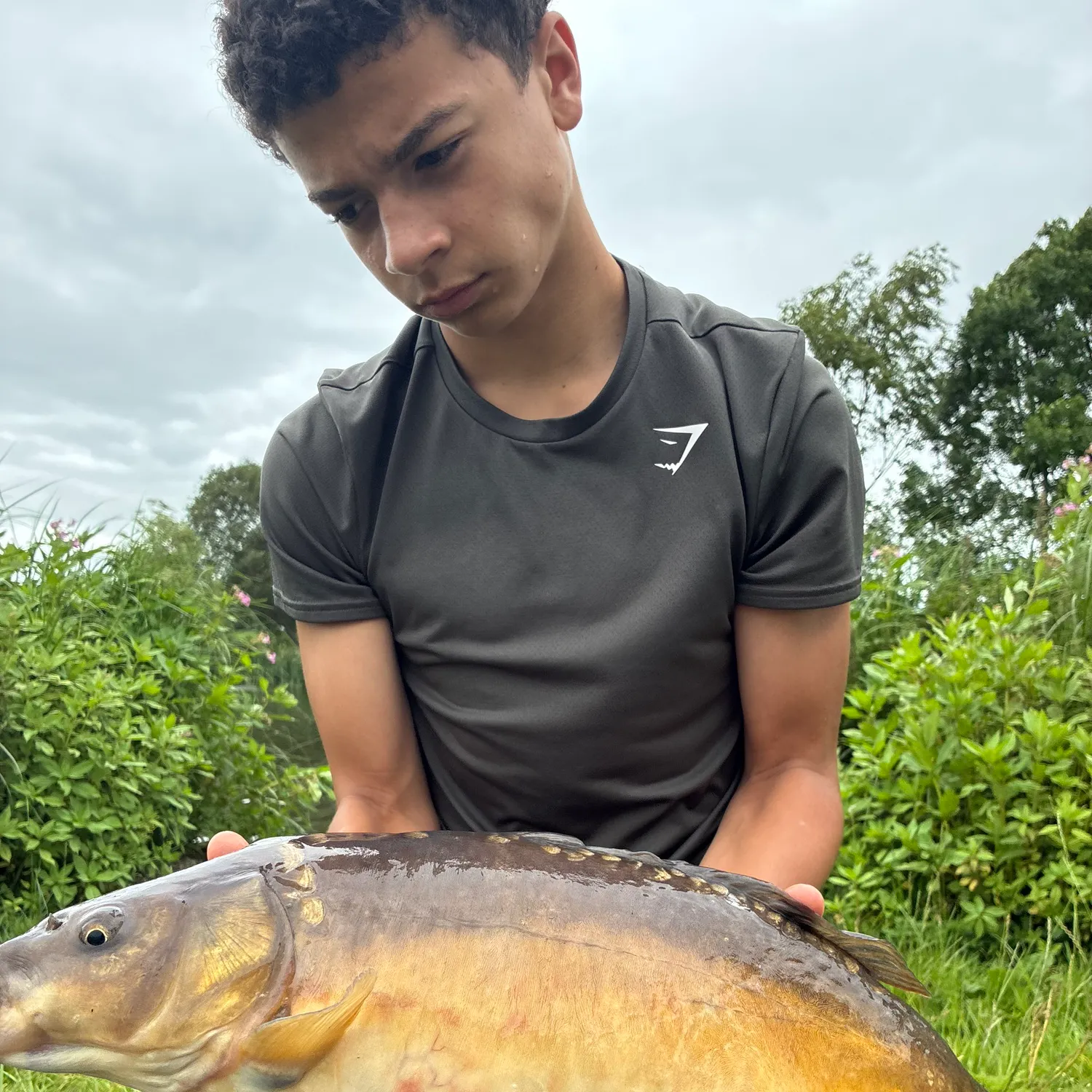 Leather carp caught on Fishbrain