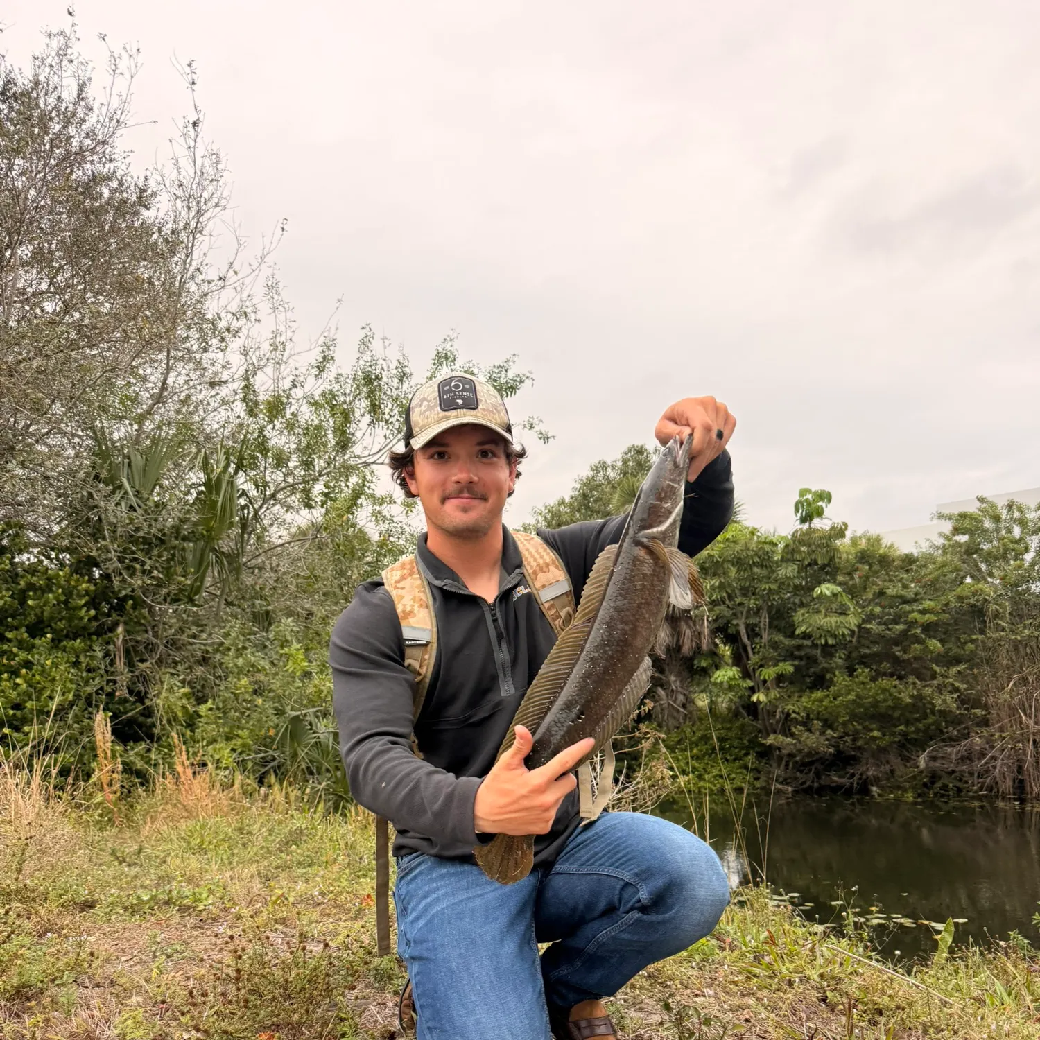 The most recent Bullseye snakehead catches on Fishbrain