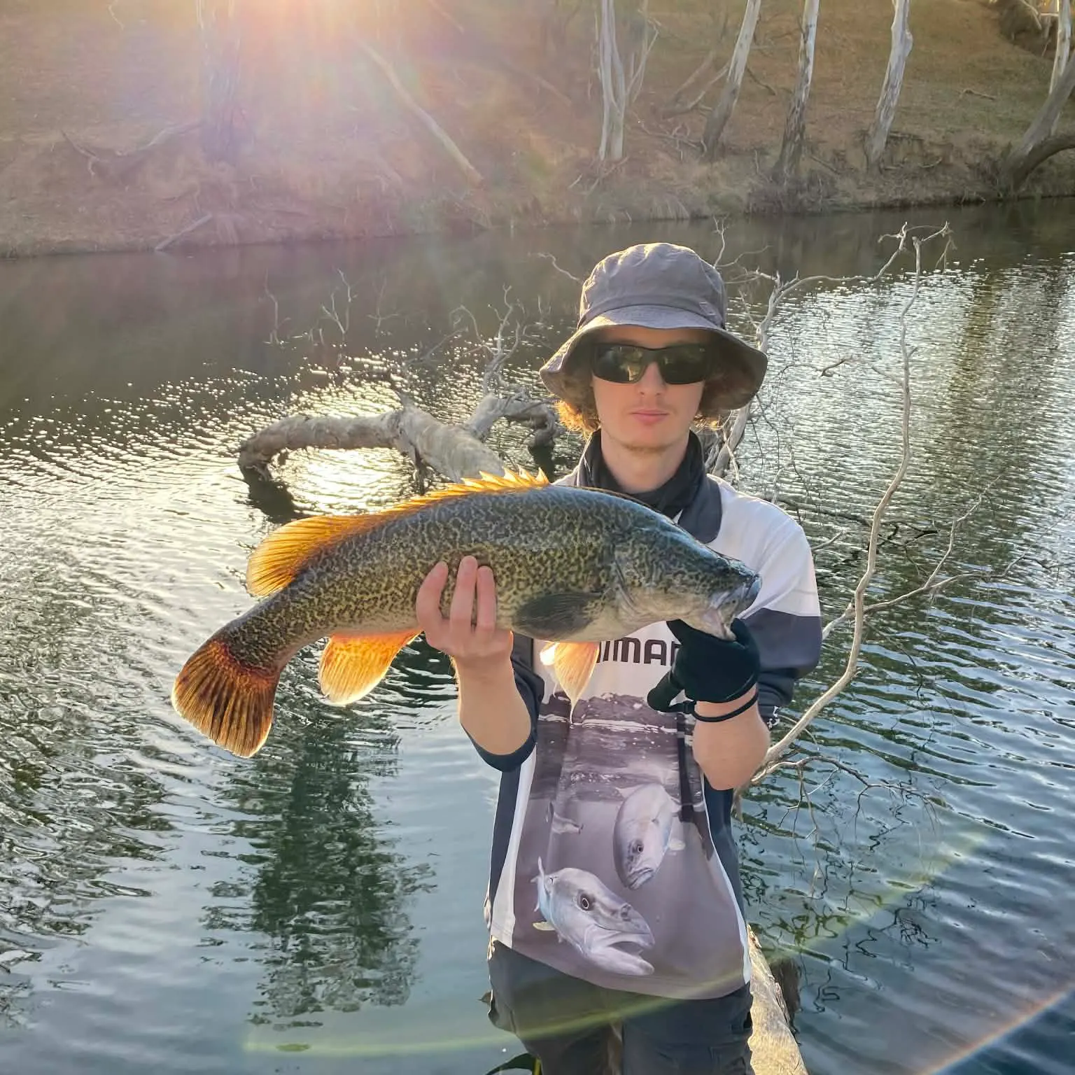 The most recent Murray cod catches on Fishbrain