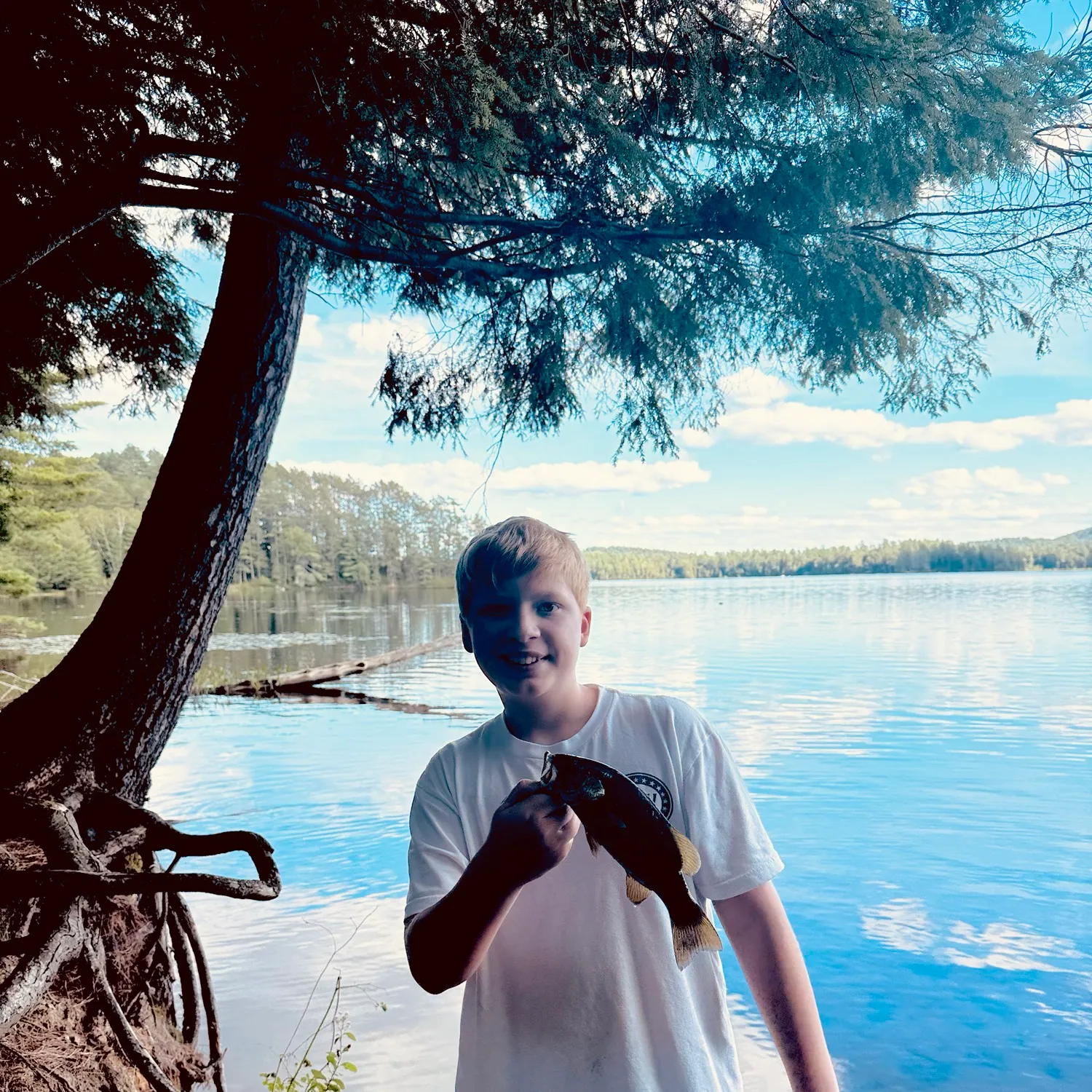 Smallmouth bass caught on Fishbrain