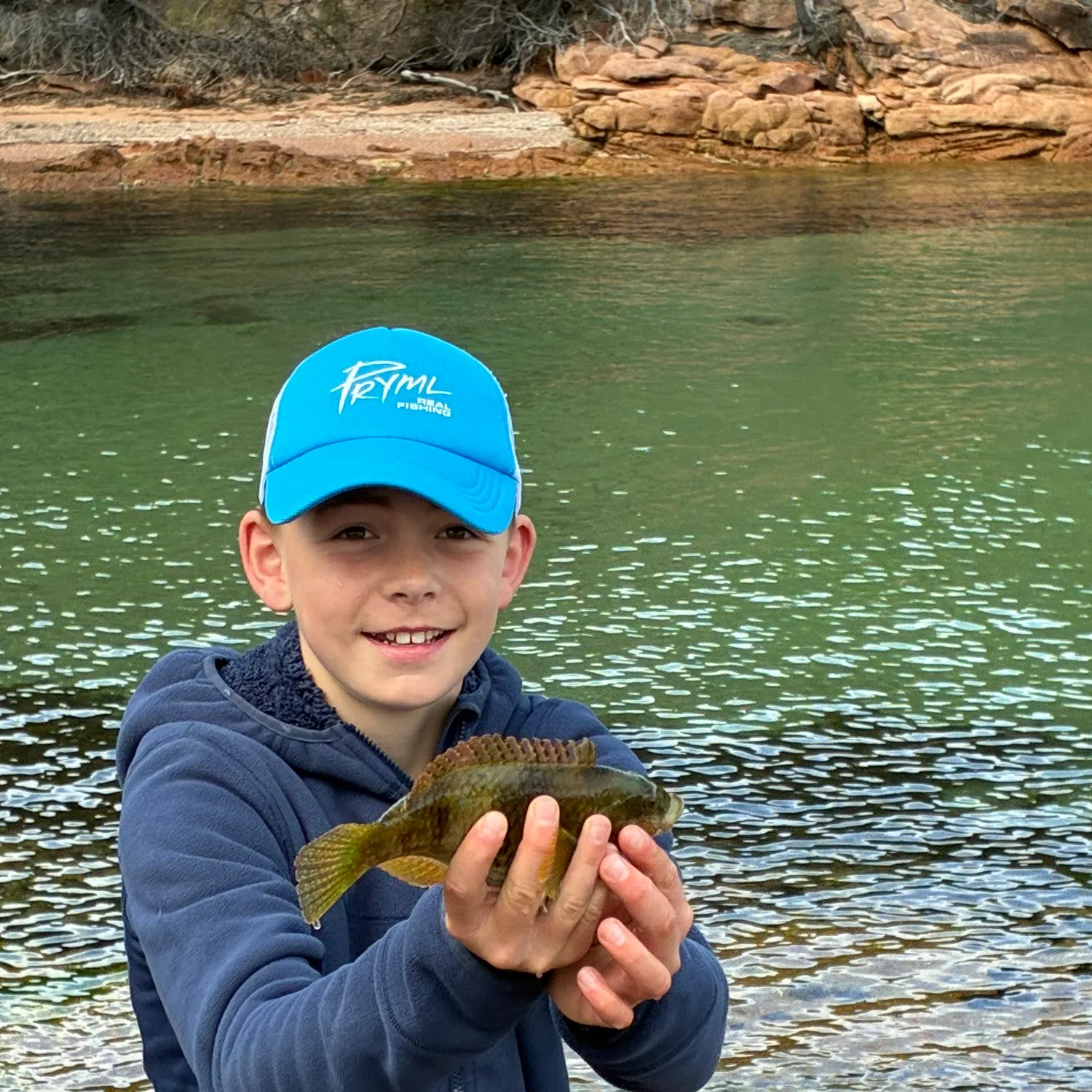 The most recent Blue-throated wrasse catches on Fishbrain