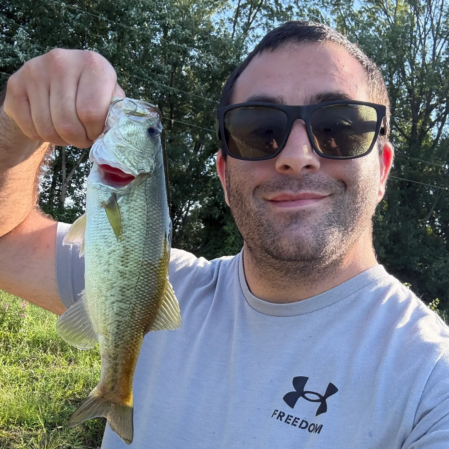Largemouth bass caught on Fishbrain