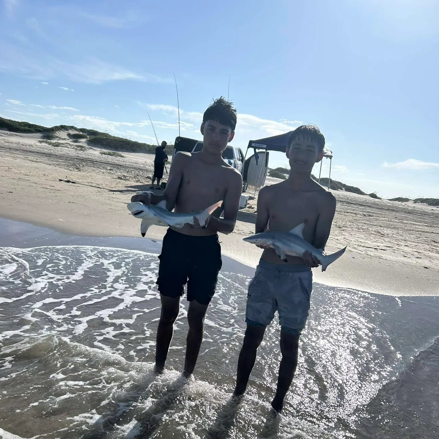 The most recent Blacktip shark catches on Fishbrain