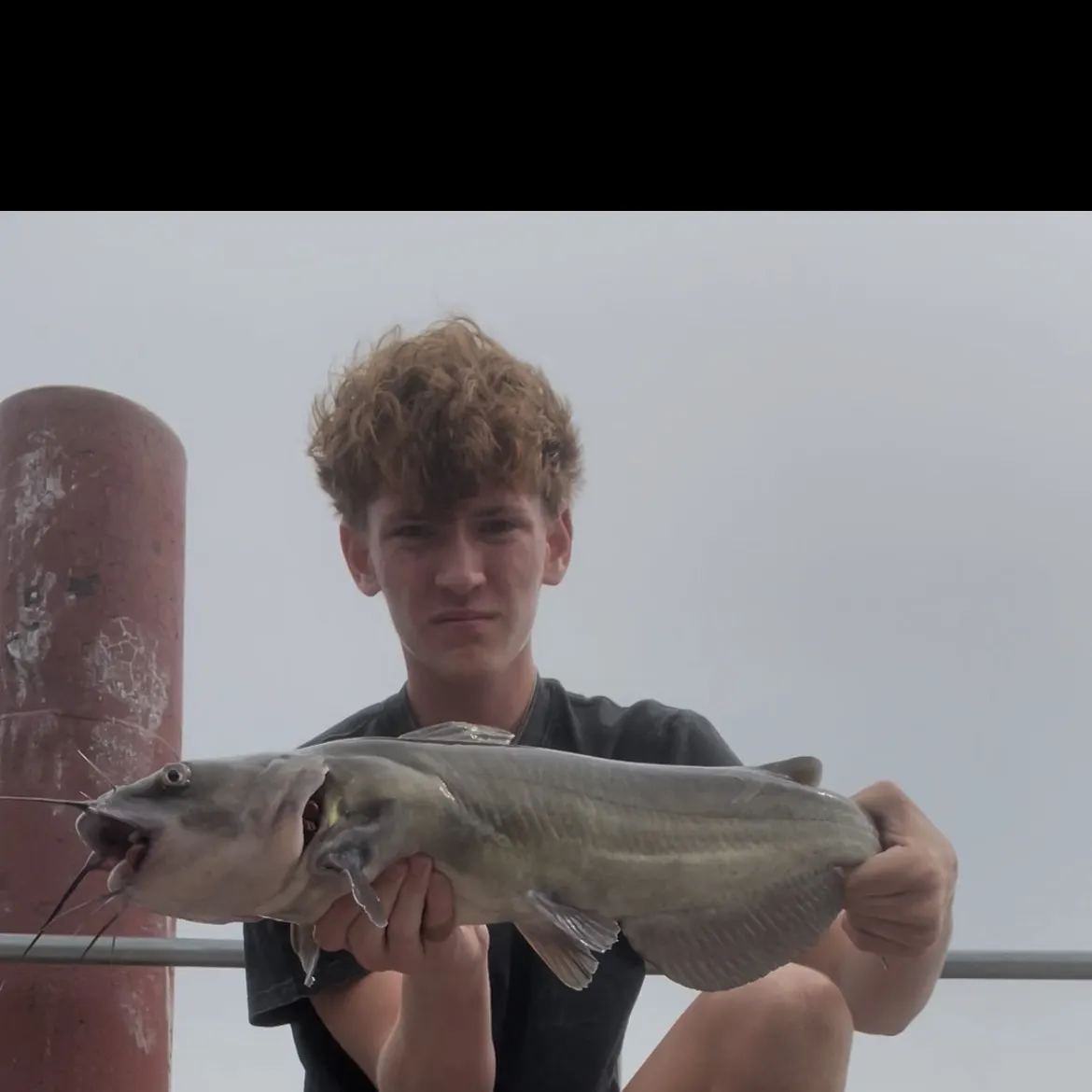 Channel catfish caught on Fishbrain