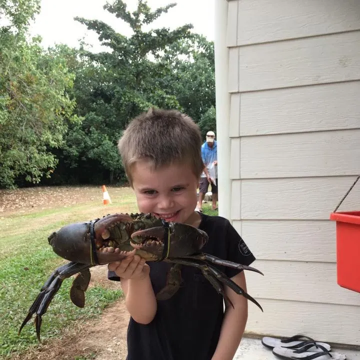 The most recent Giant mud crab catches on Fishbrain