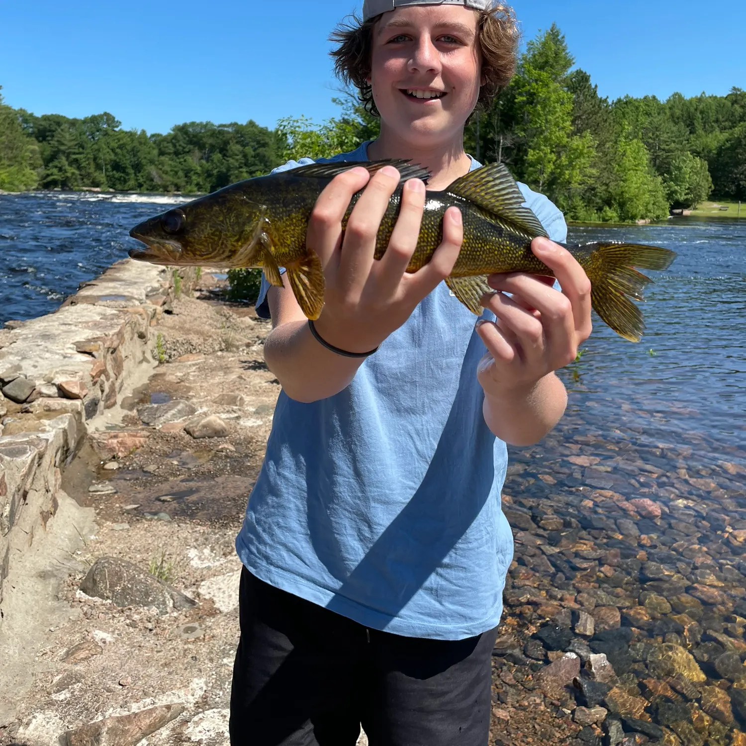 The most recent Walleye catches on Fishbrain
