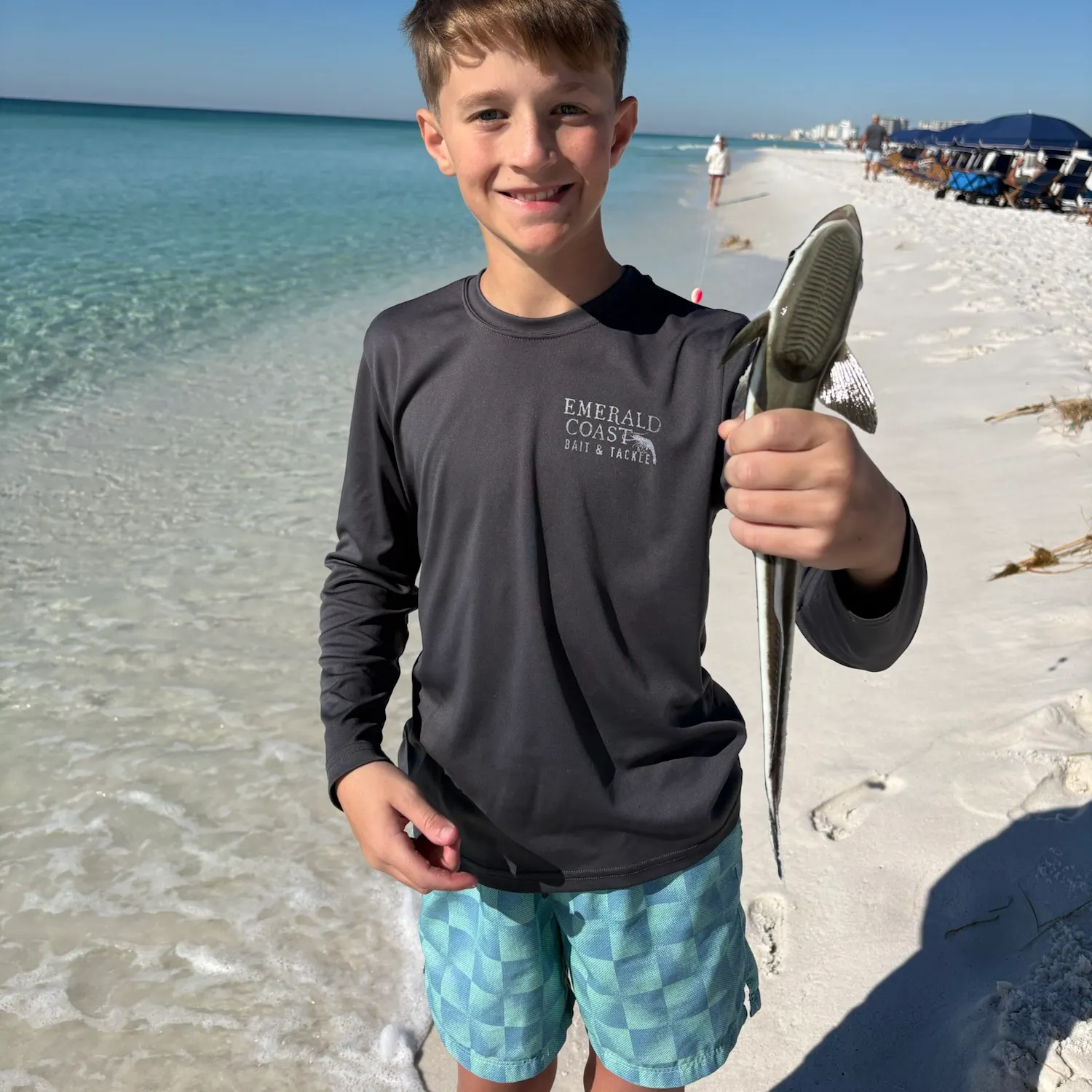 The most recent Live sharksucker catches on Fishbrain