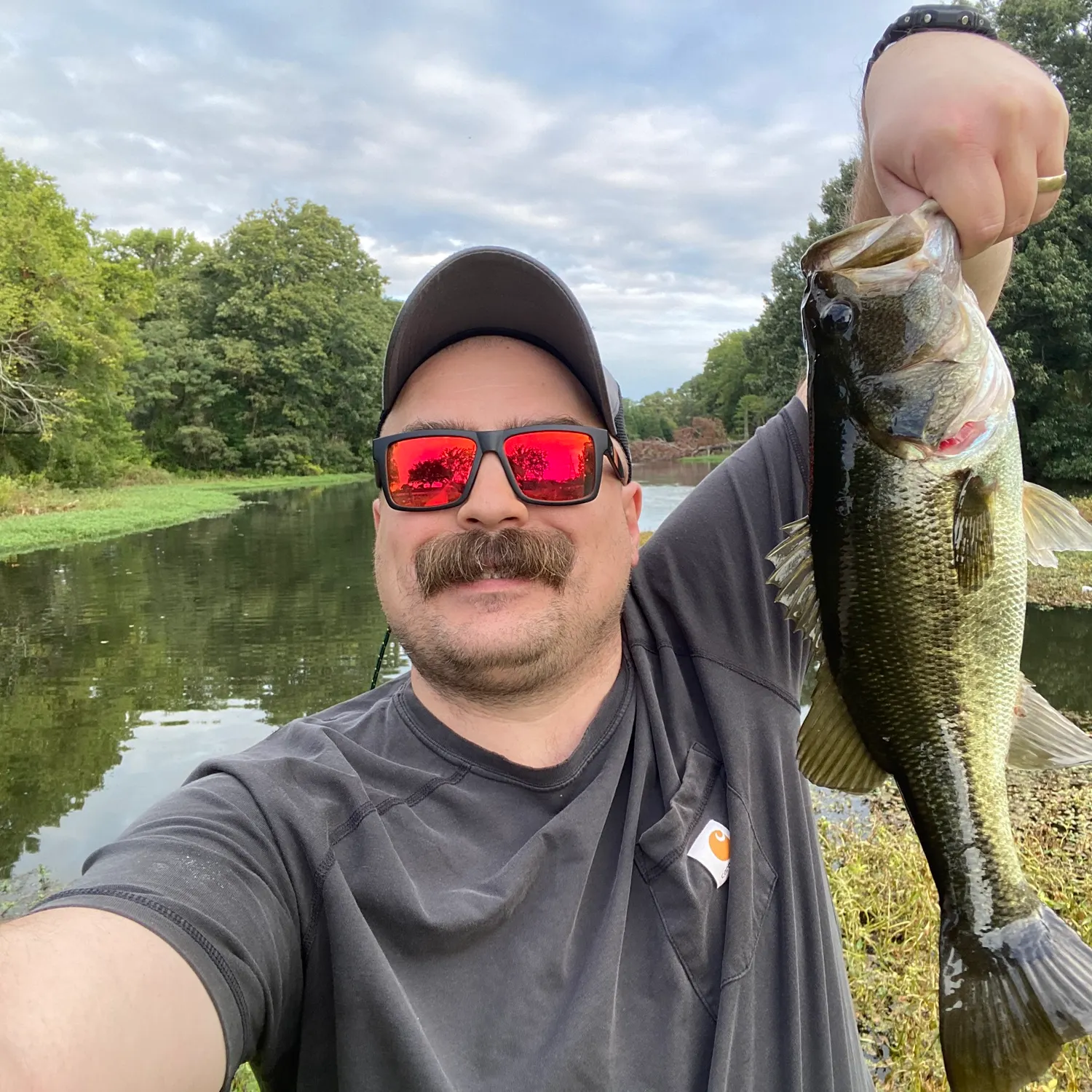 Largemouth bass caught on Fishbrain