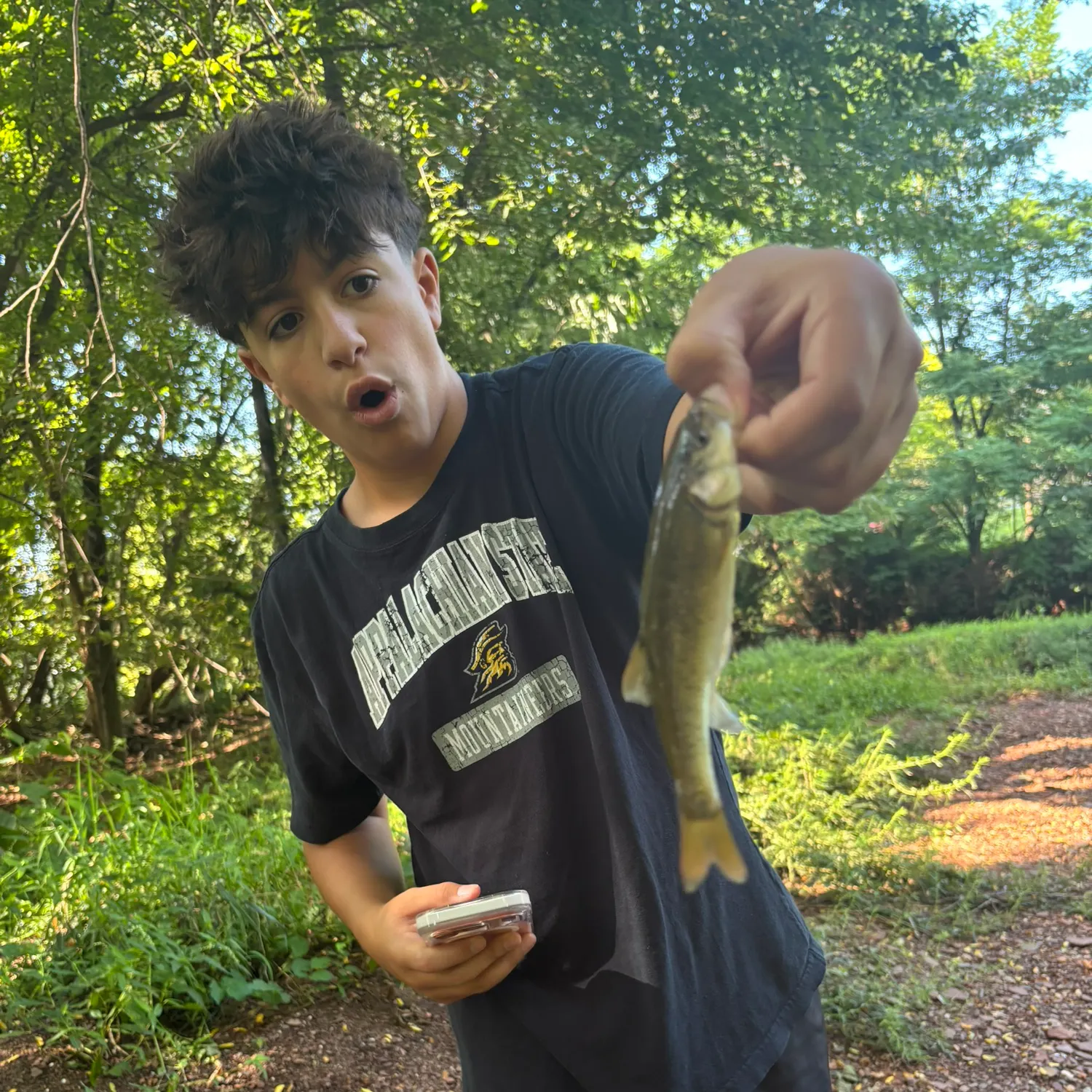 Creek chub caught on Fishbrain