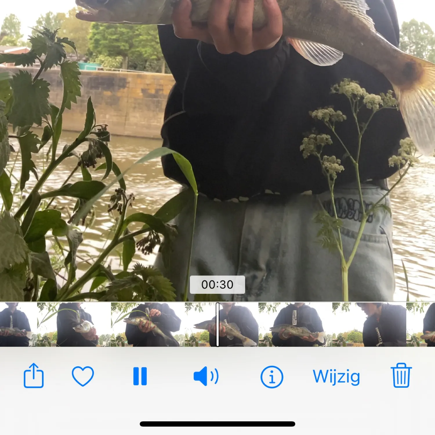 recently logged catches