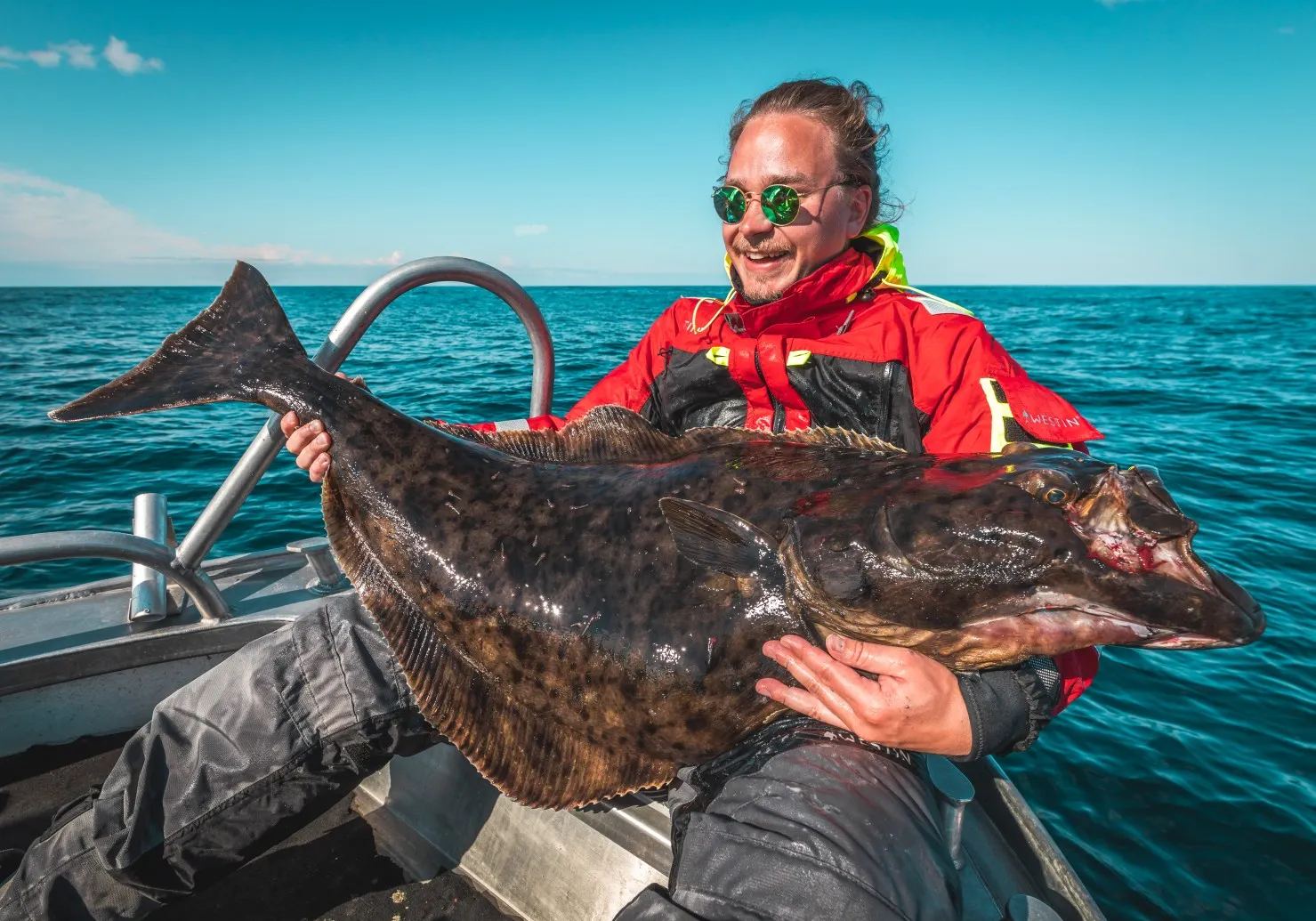 Atlantic halibut