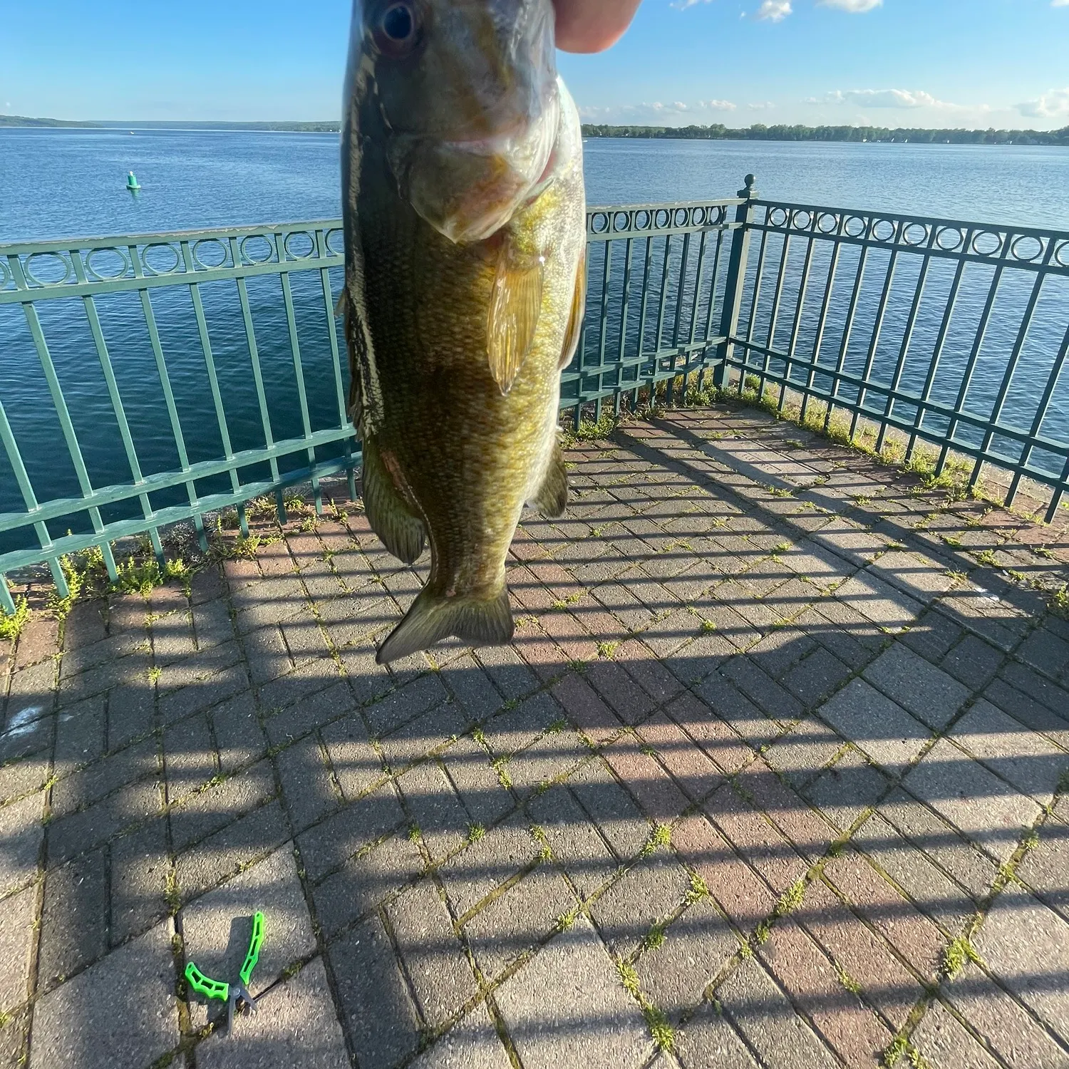 angler catch
