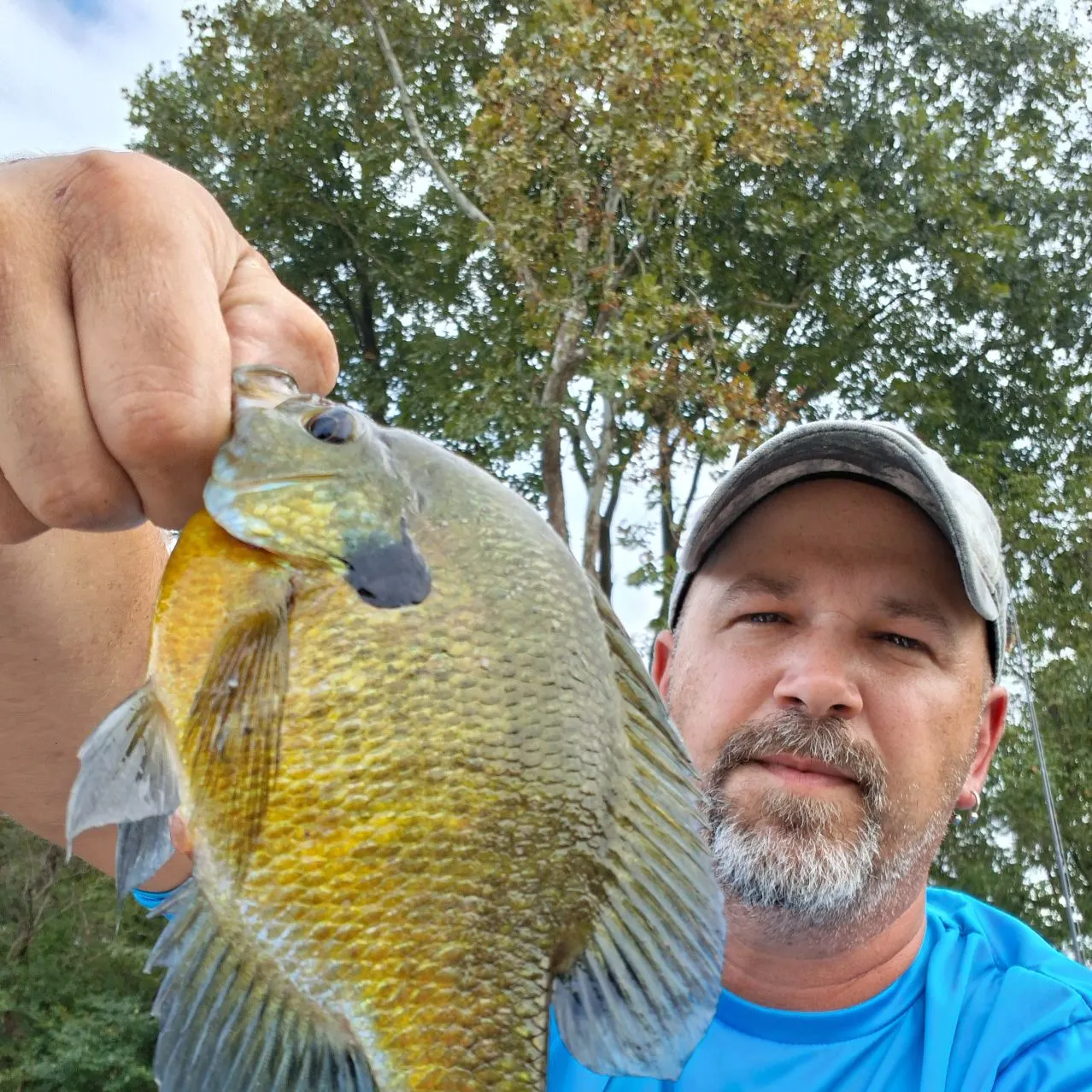 Bluegill caught on Fishbrain