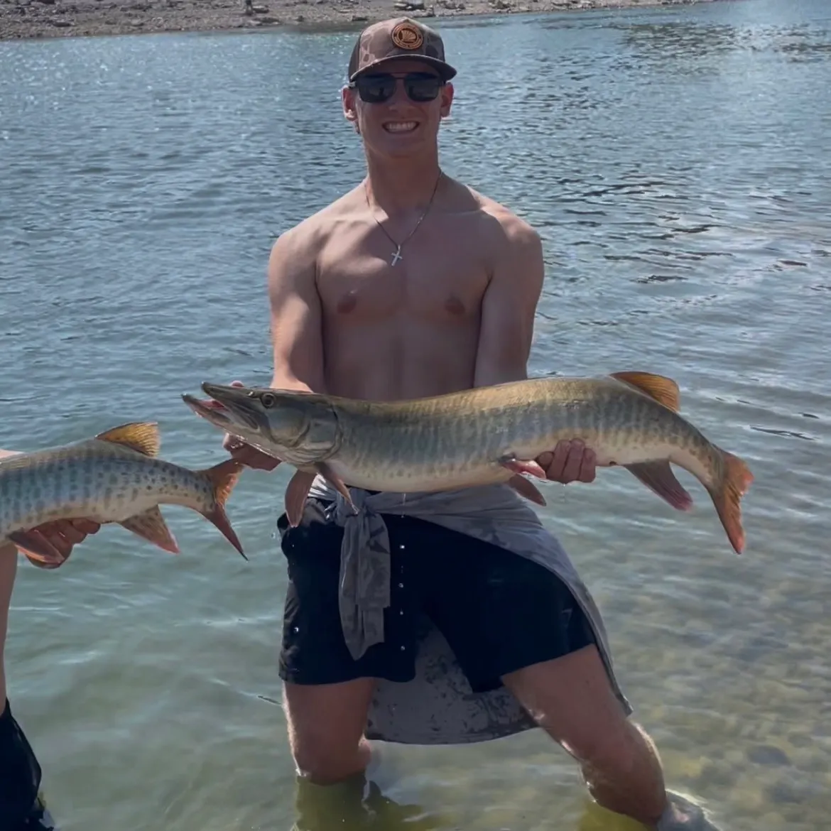 Tiger muskie caught on Fishbrain