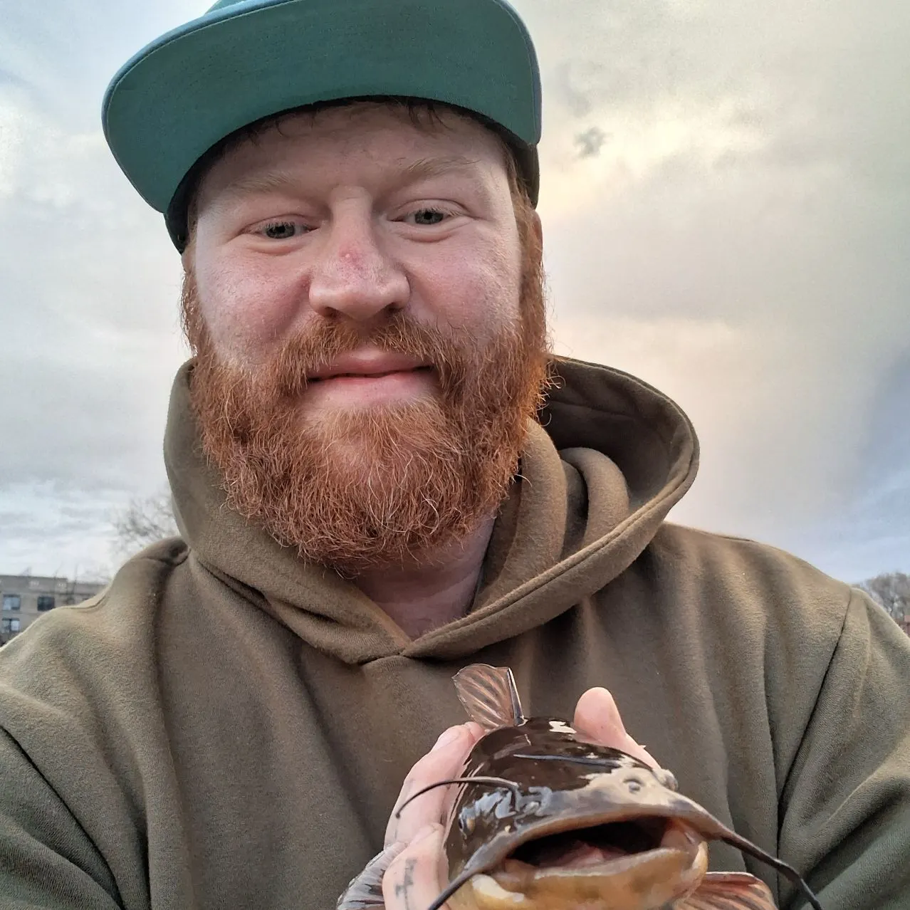 The most recent Brown bullhead catches on Fishbrain