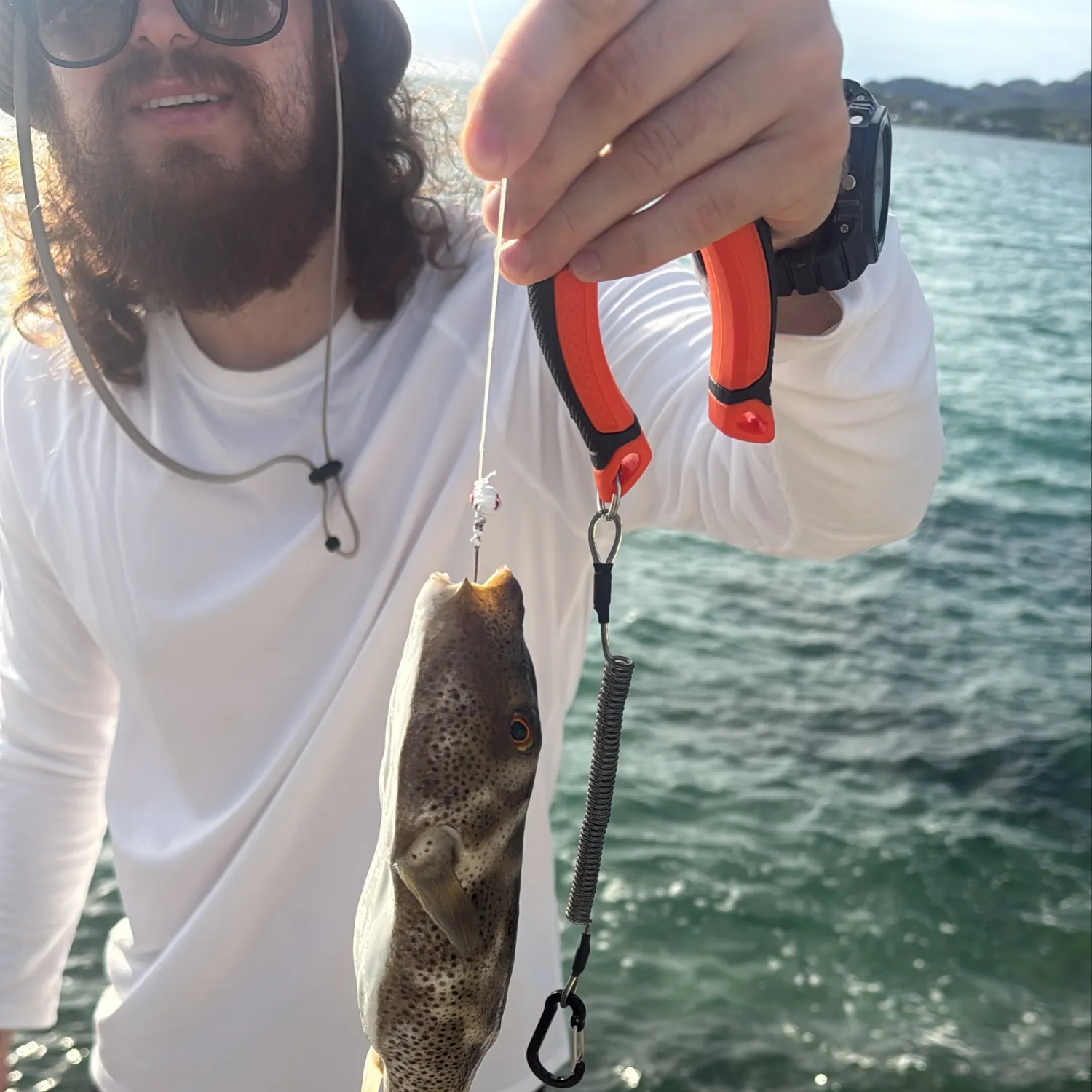 The most recent Bullseye puffer catches on Fishbrain