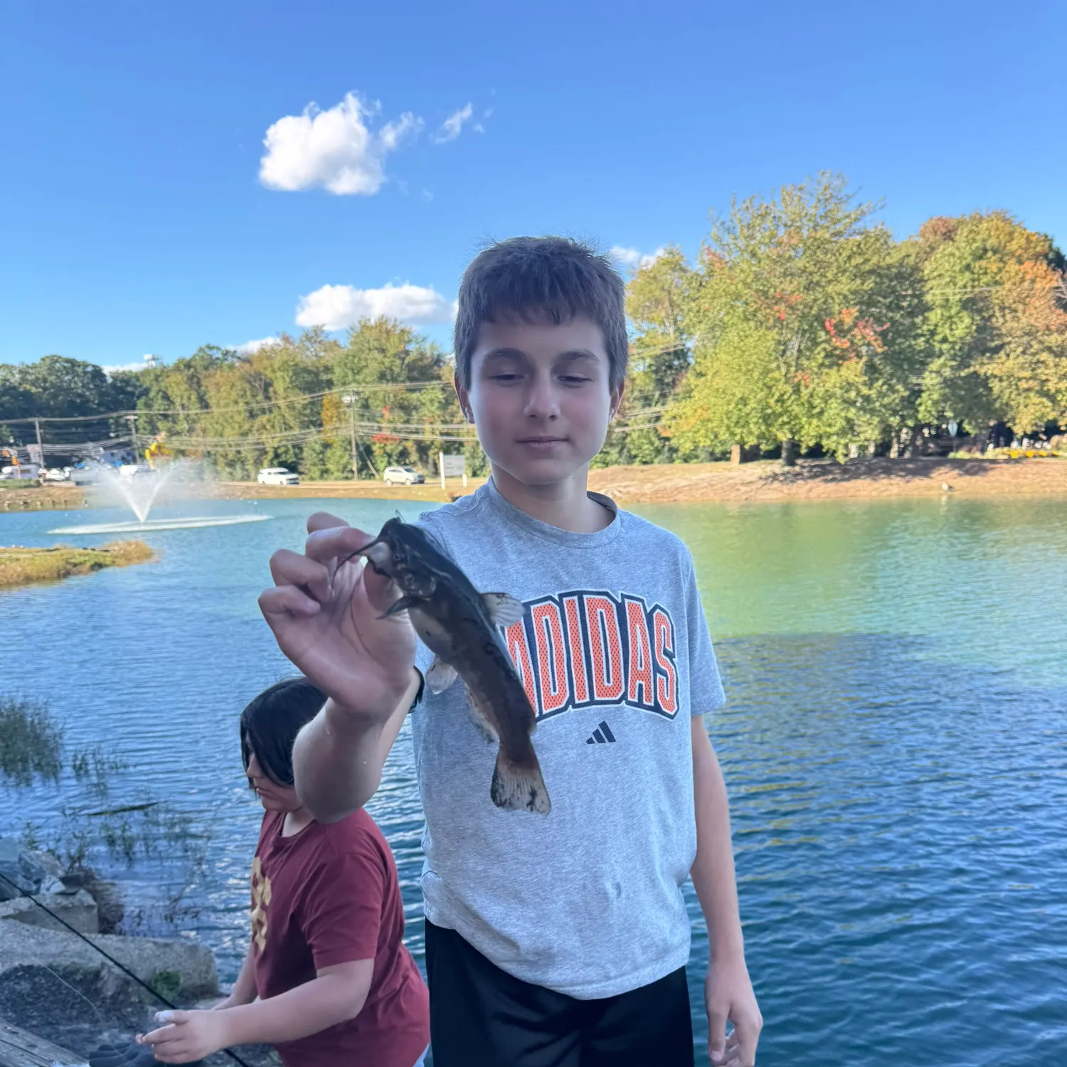 Channel catfish caught on Fishbrain