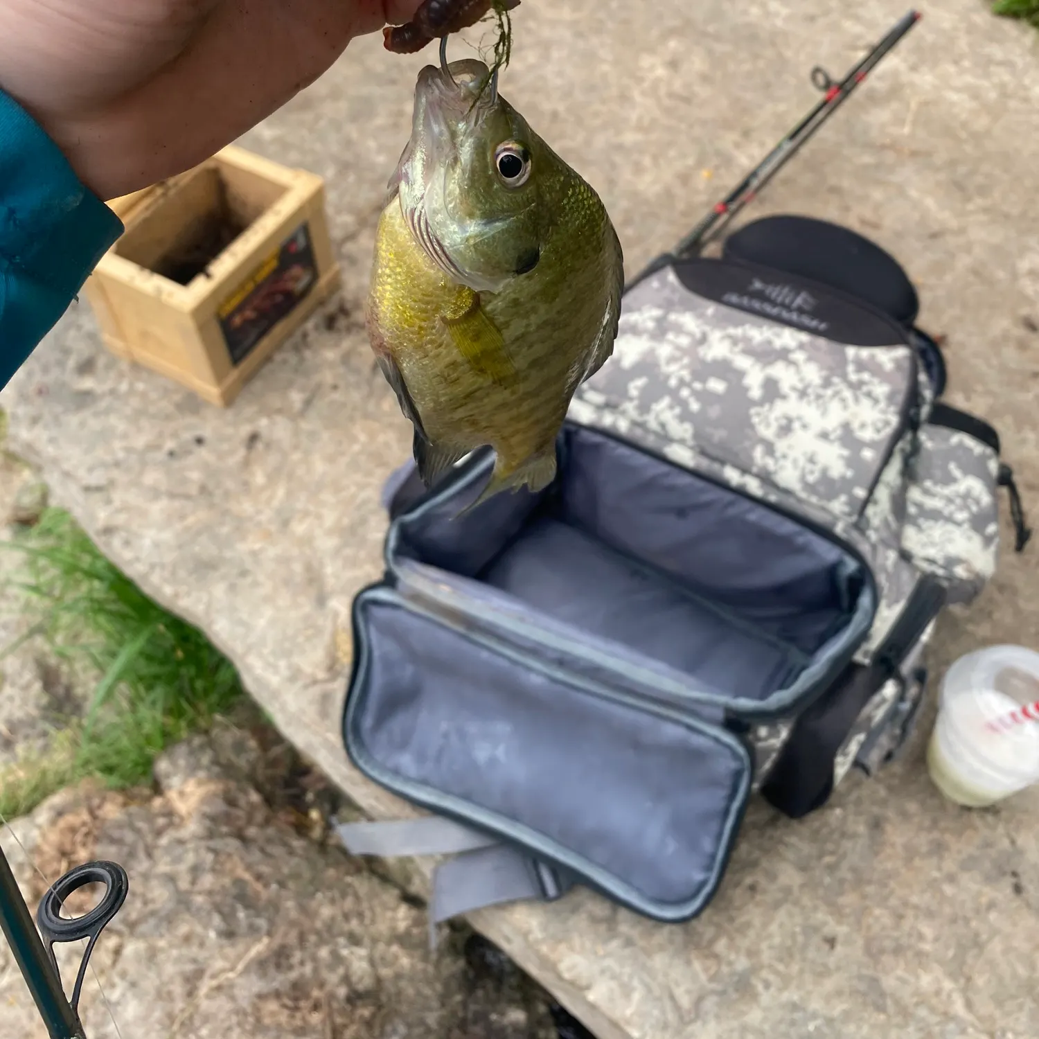 catch