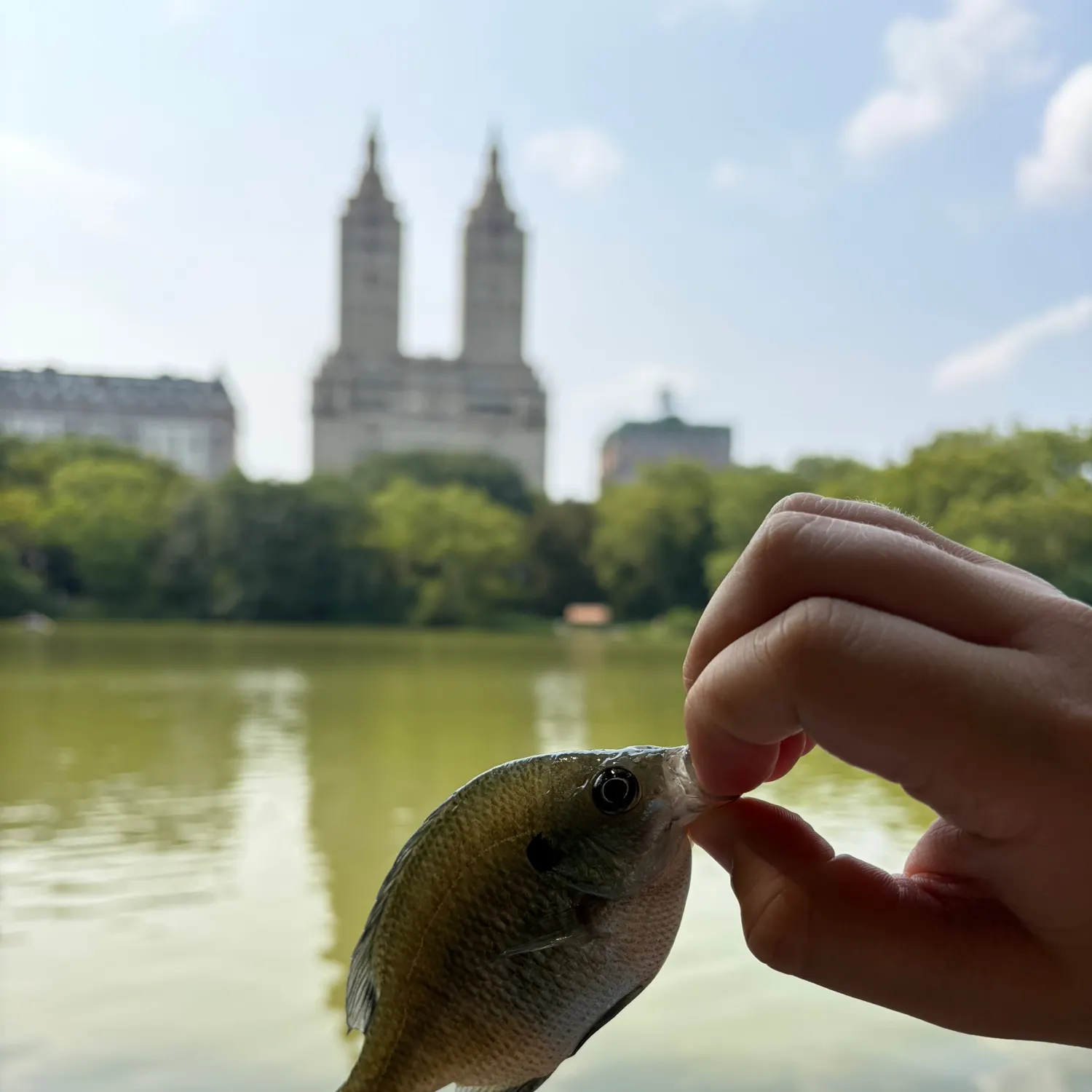 catch