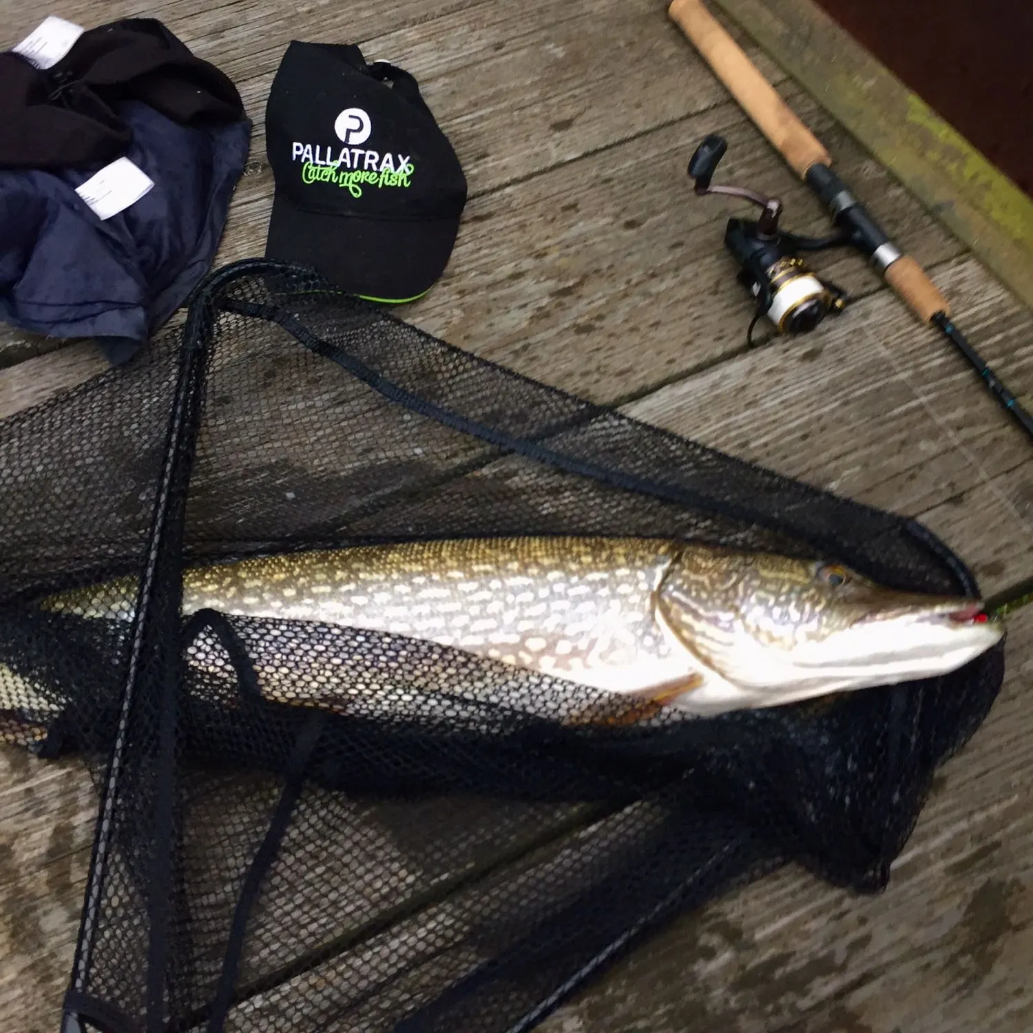 angler catch