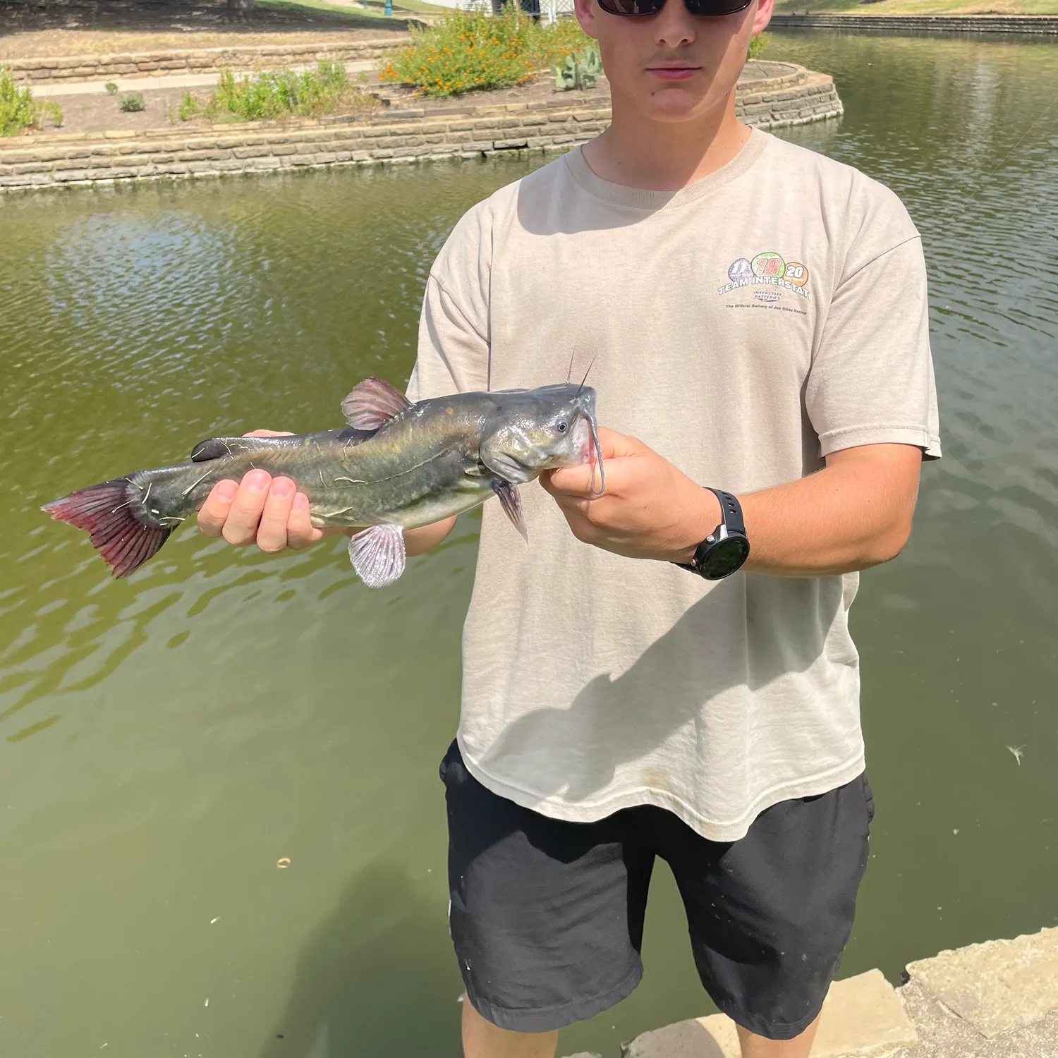 Channel catfish caught on Fishbrain