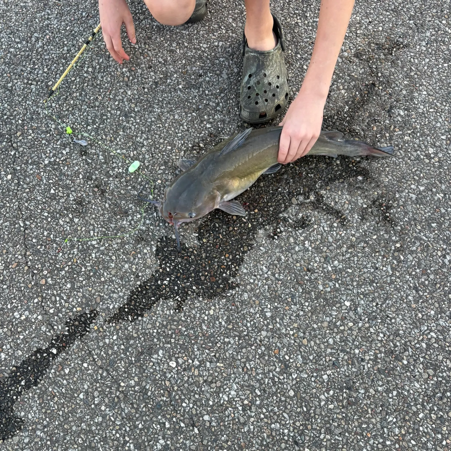 catch