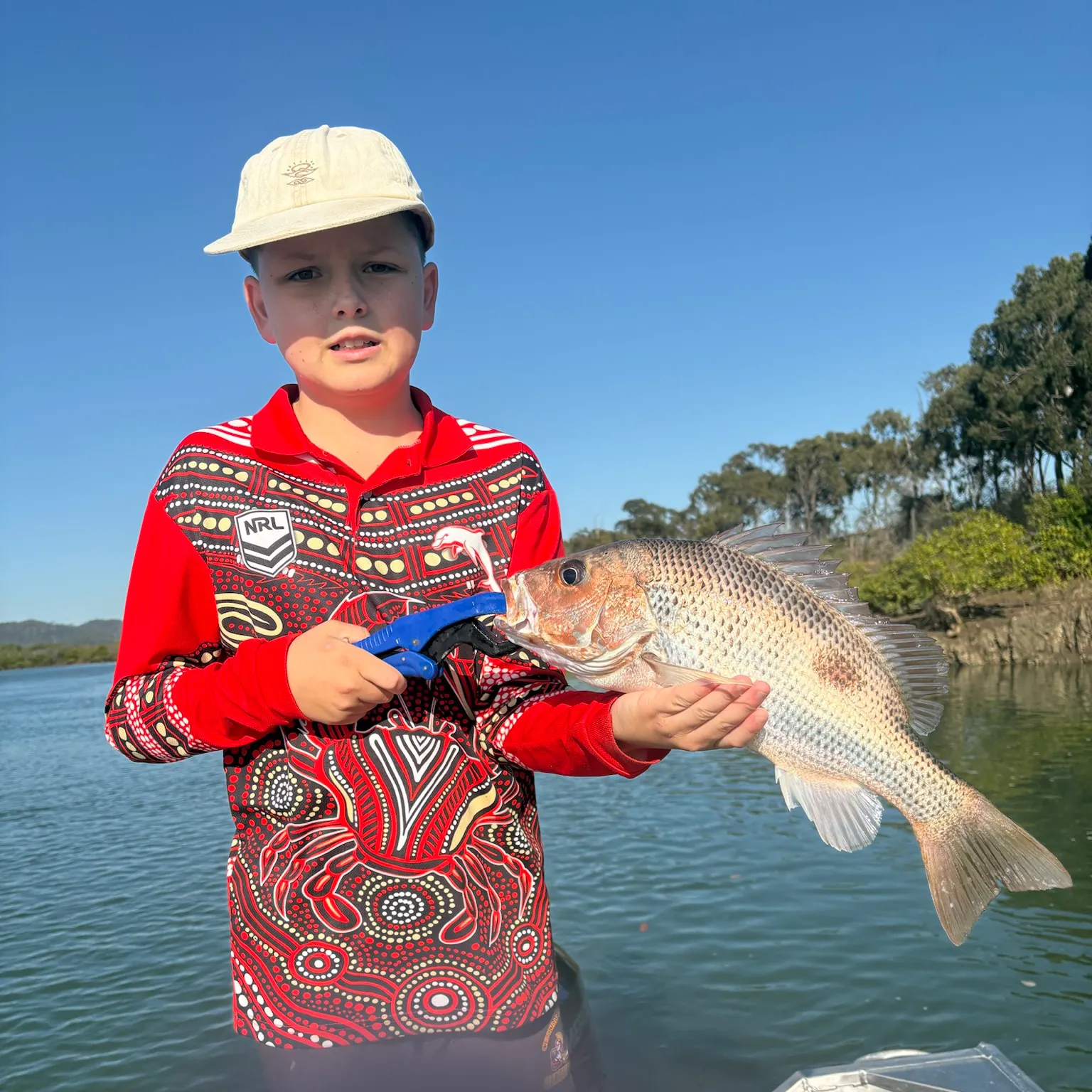 The most recent Mangrove red snapper catches on Fishbrain