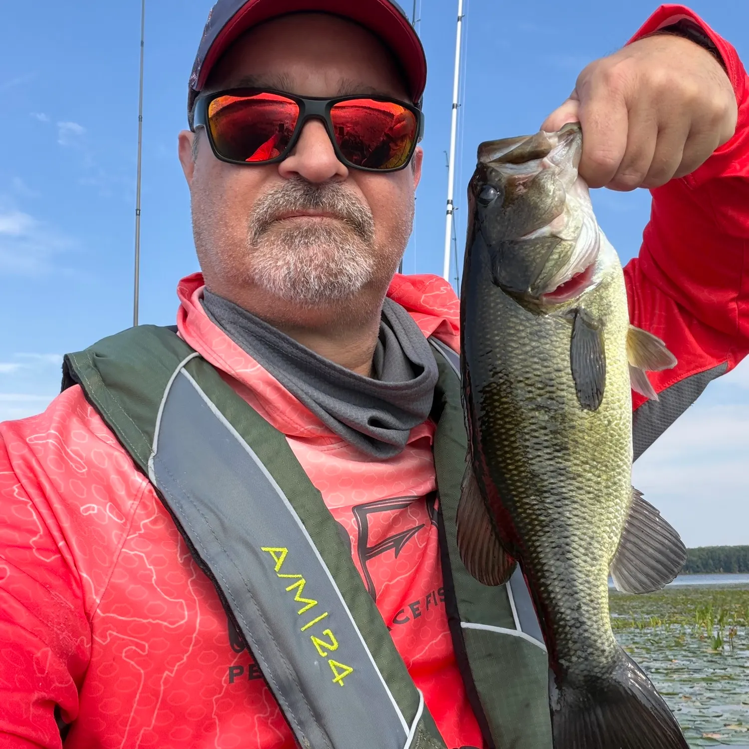 Largemouth bass caught on Fishbrain