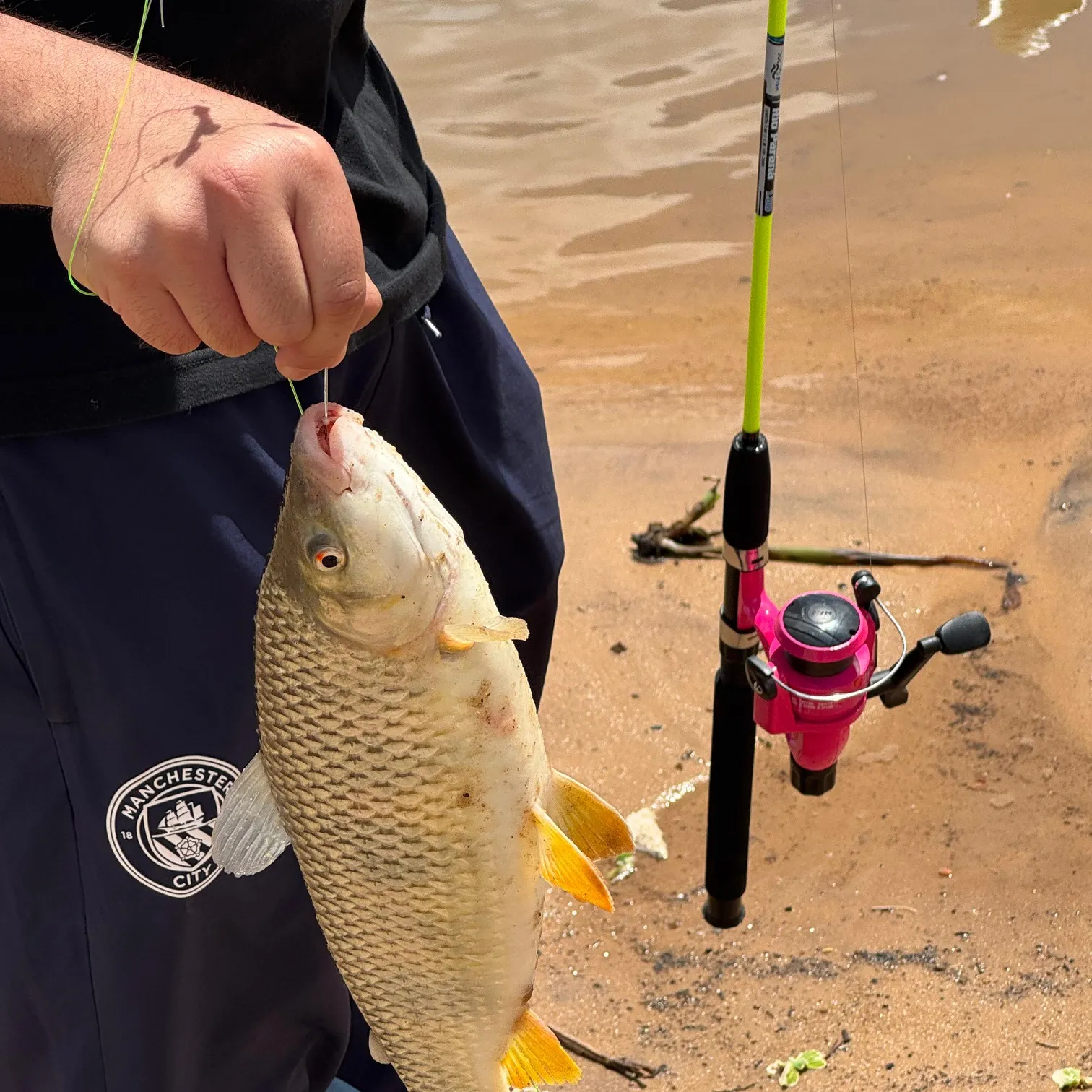 The most recent Boga catches on Fishbrain