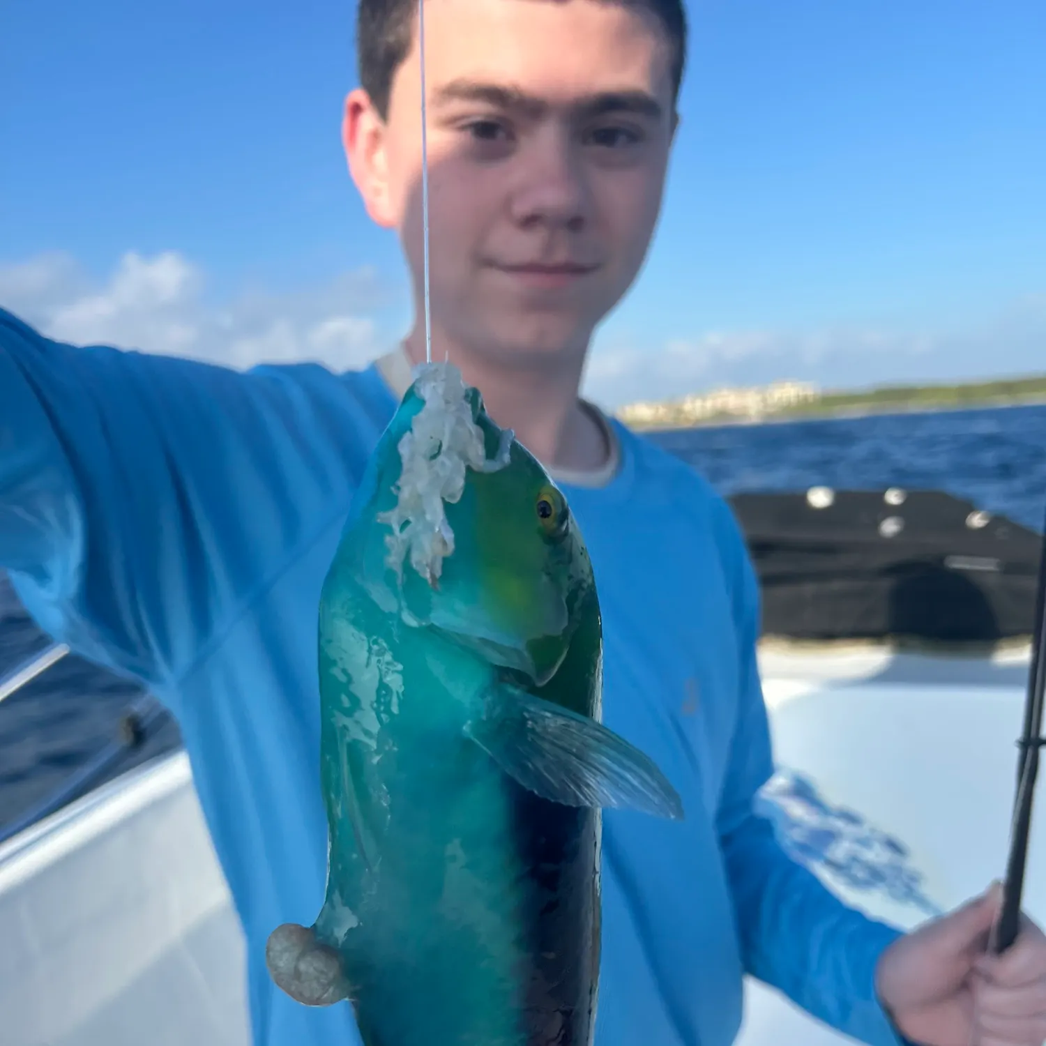 The most recent Yellowcheek wrasse catches on Fishbrain
