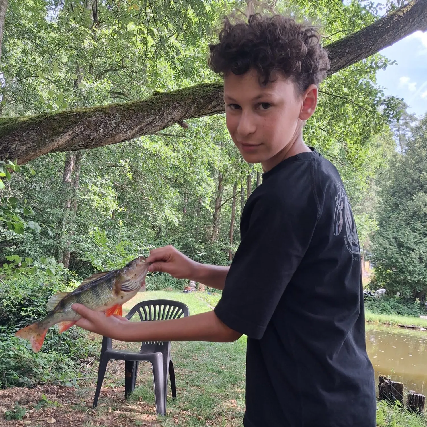 European perch caught on Fishbrain