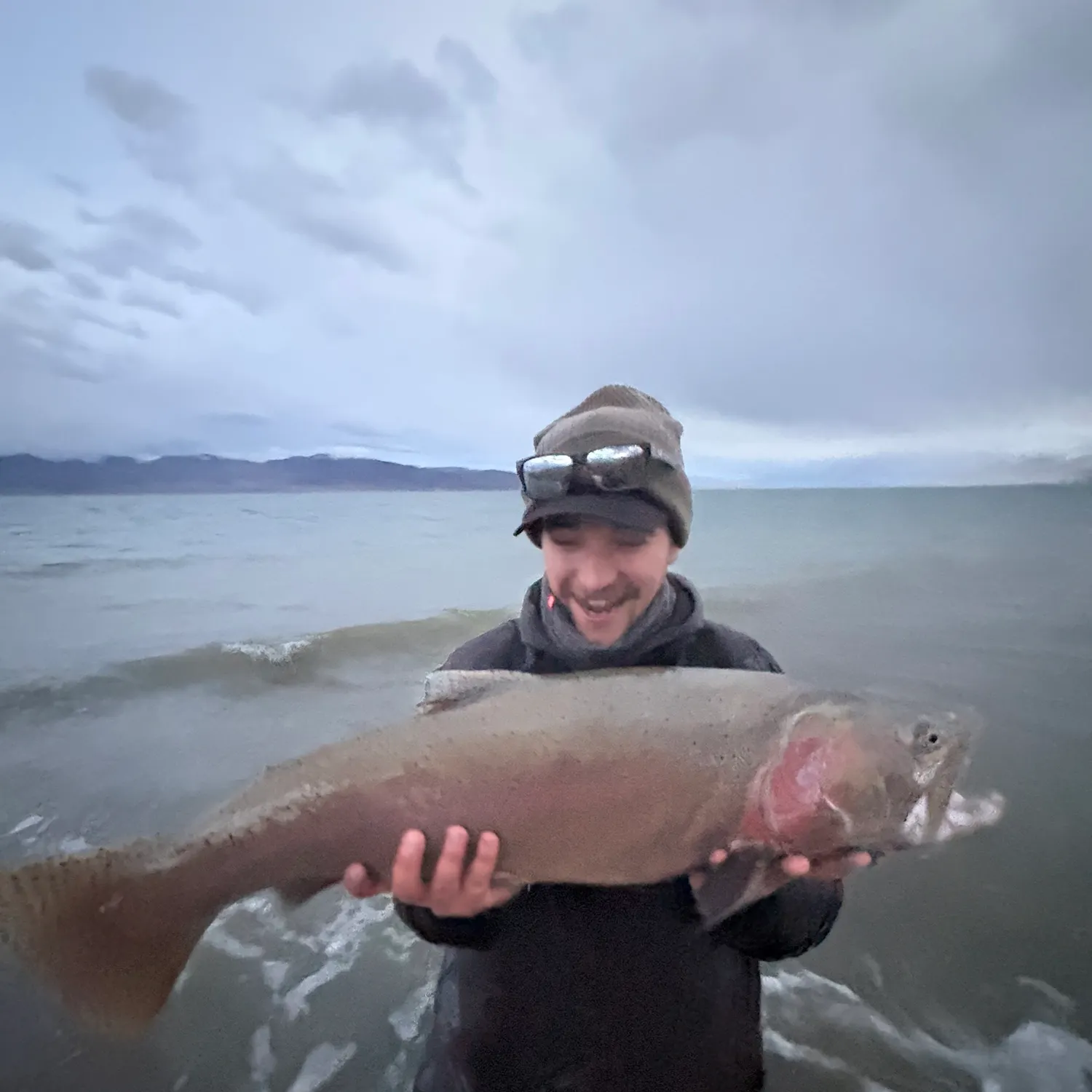 The most recent Lahontan cutthroat trout catches on Fishbrain