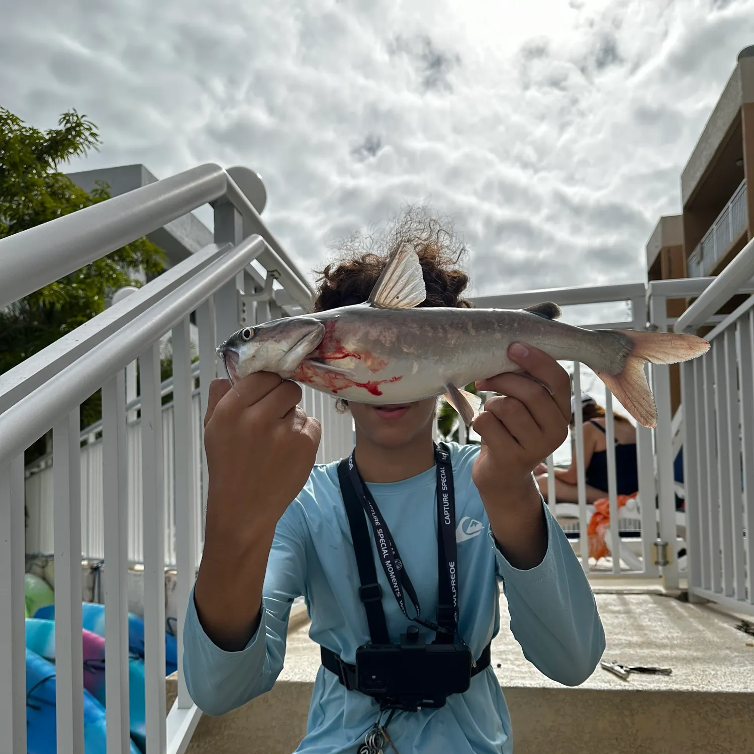 The most recent Hardhead sea catfish catches on Fishbrain