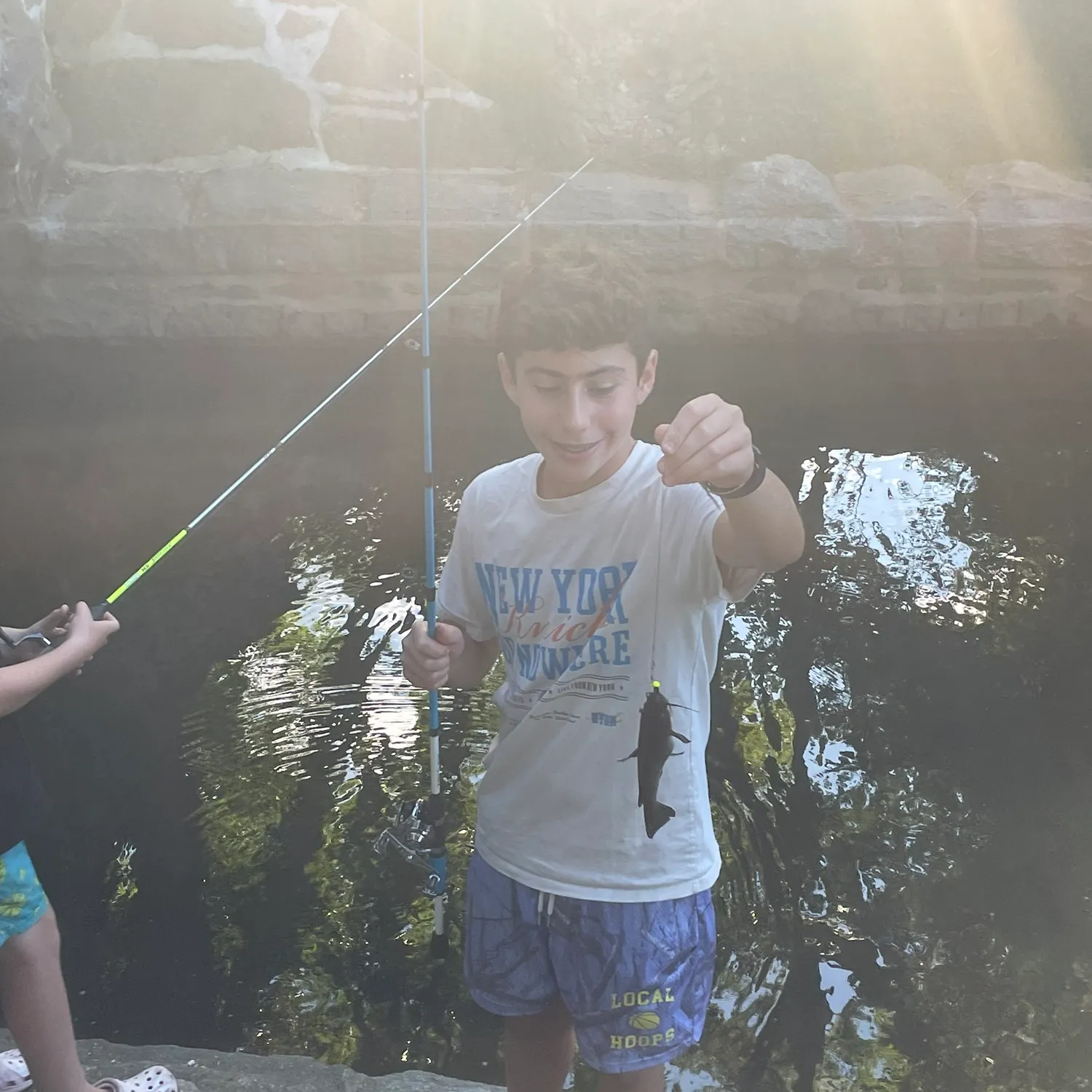Black bullhead caught on Fishbrain