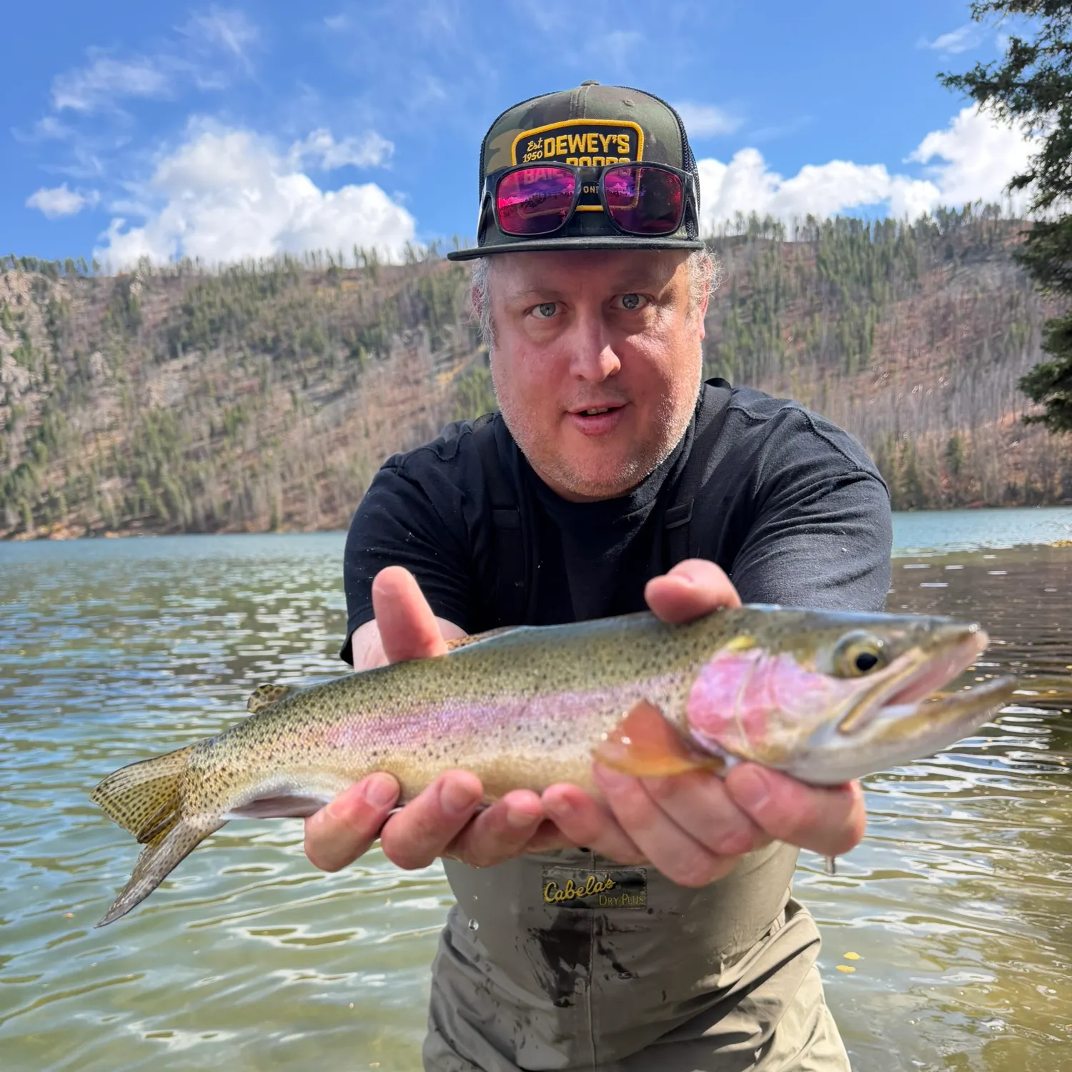 Rainbow trout caught on Fishbrain
