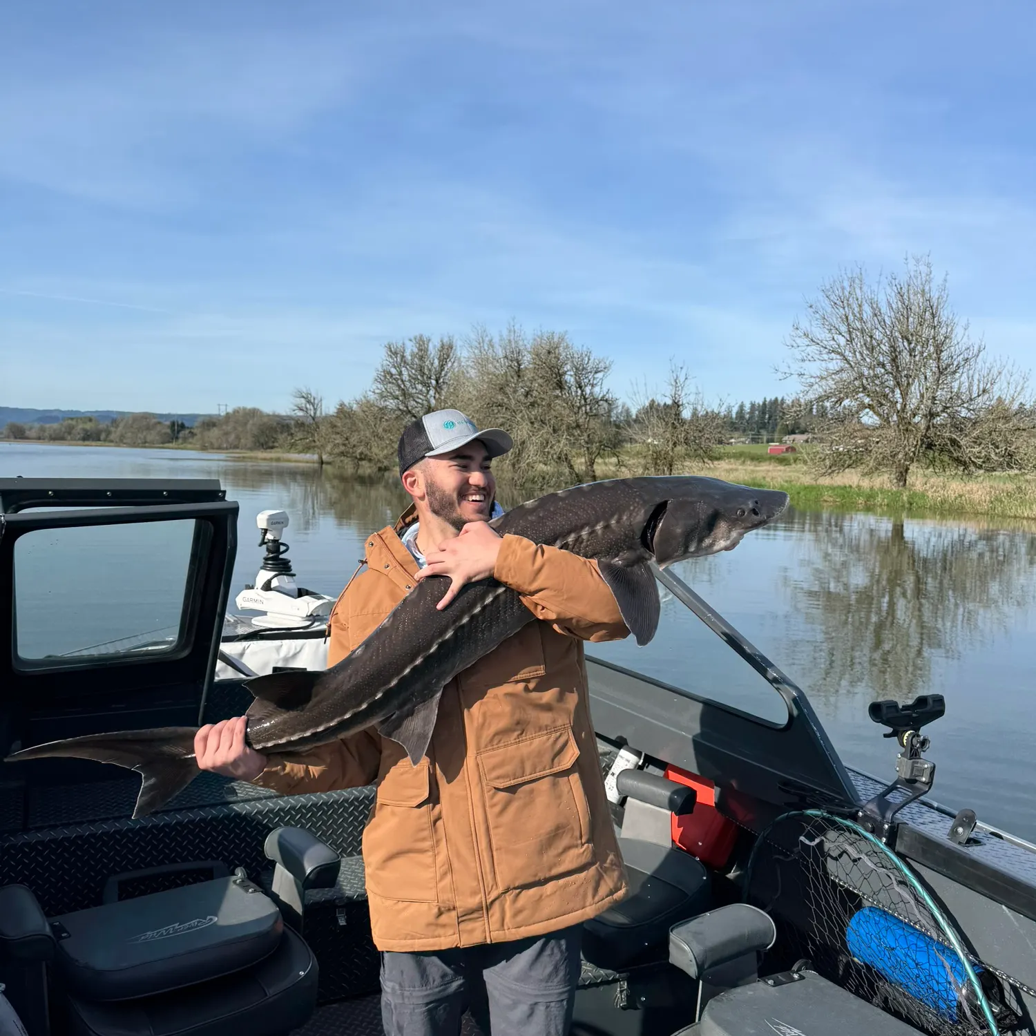 White sturgeon caught on Fishbrain