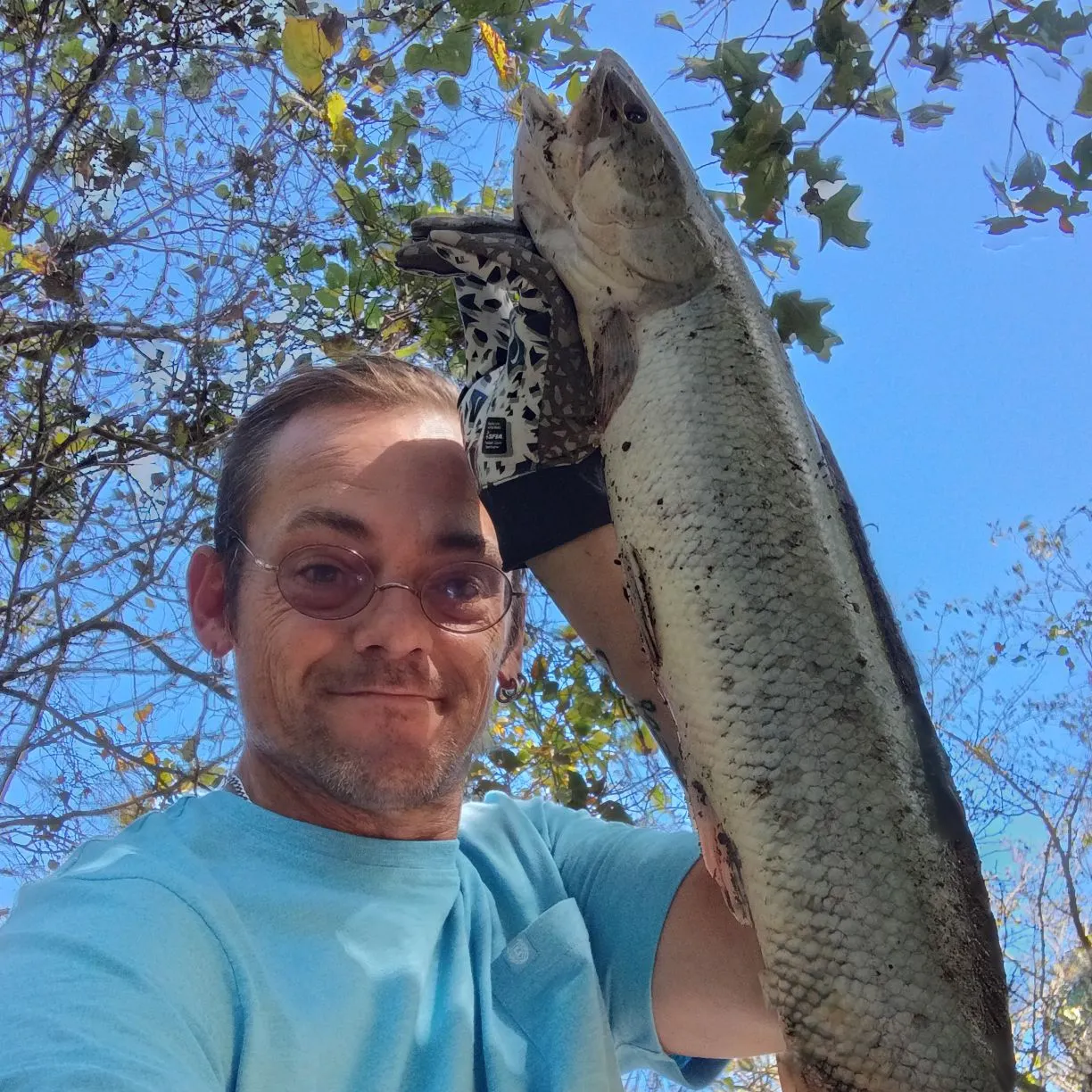 The most recent Forest snakehead catches on Fishbrain