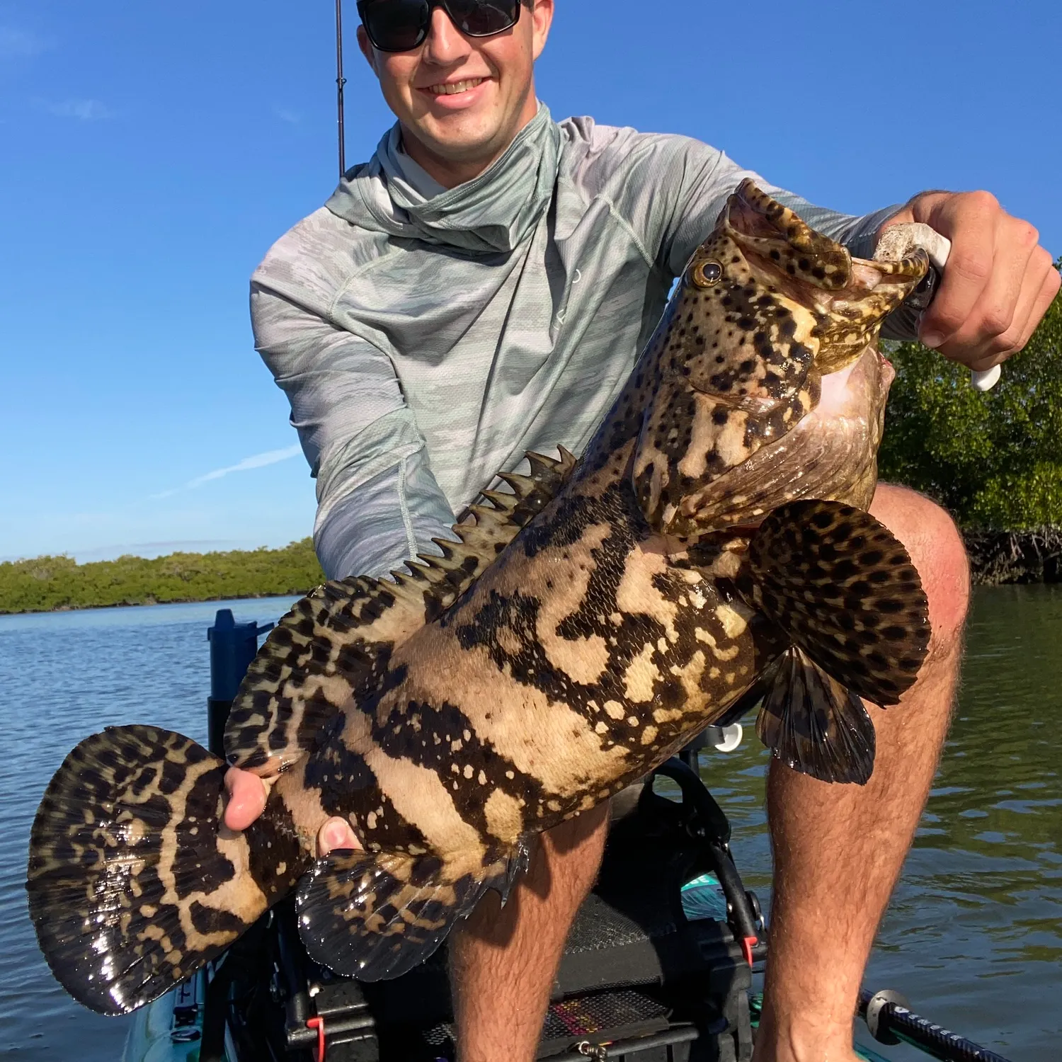 The most recent Atlantic goliath grouper catches on Fishbrain