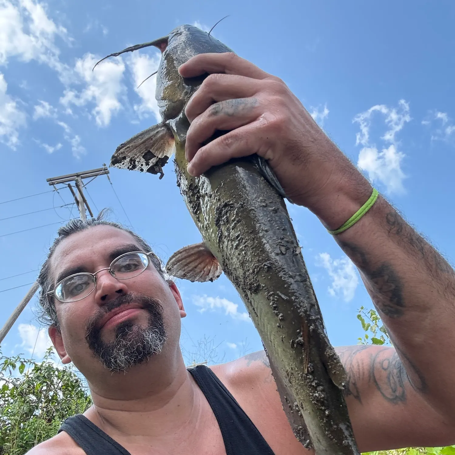Channel catfish caught on Fishbrain