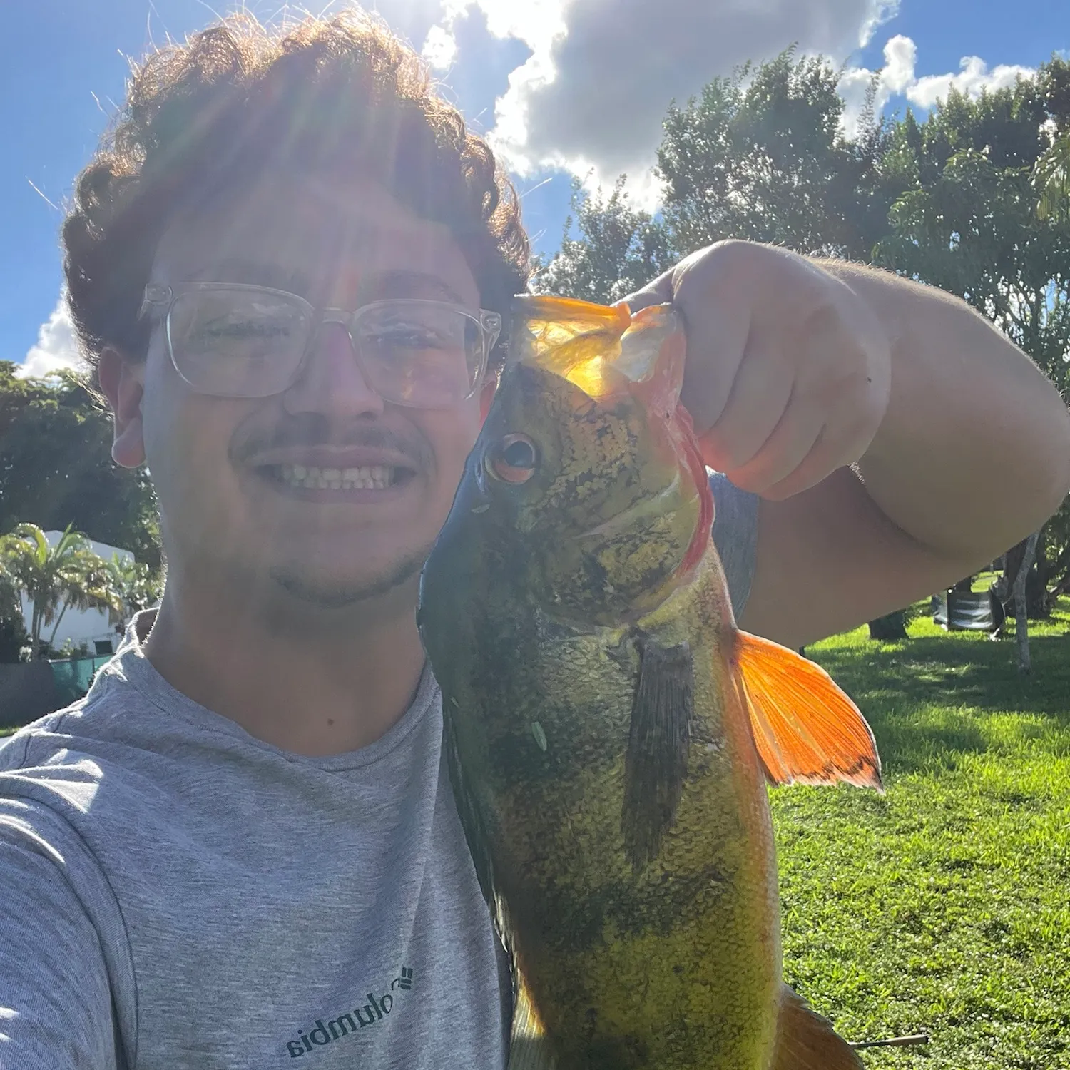 Butterfly peacock bass caught on Fishbrain