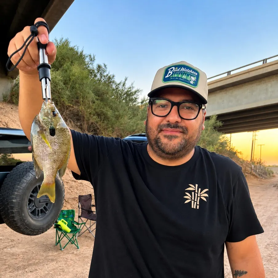 Bluegill caught on Fishbrain