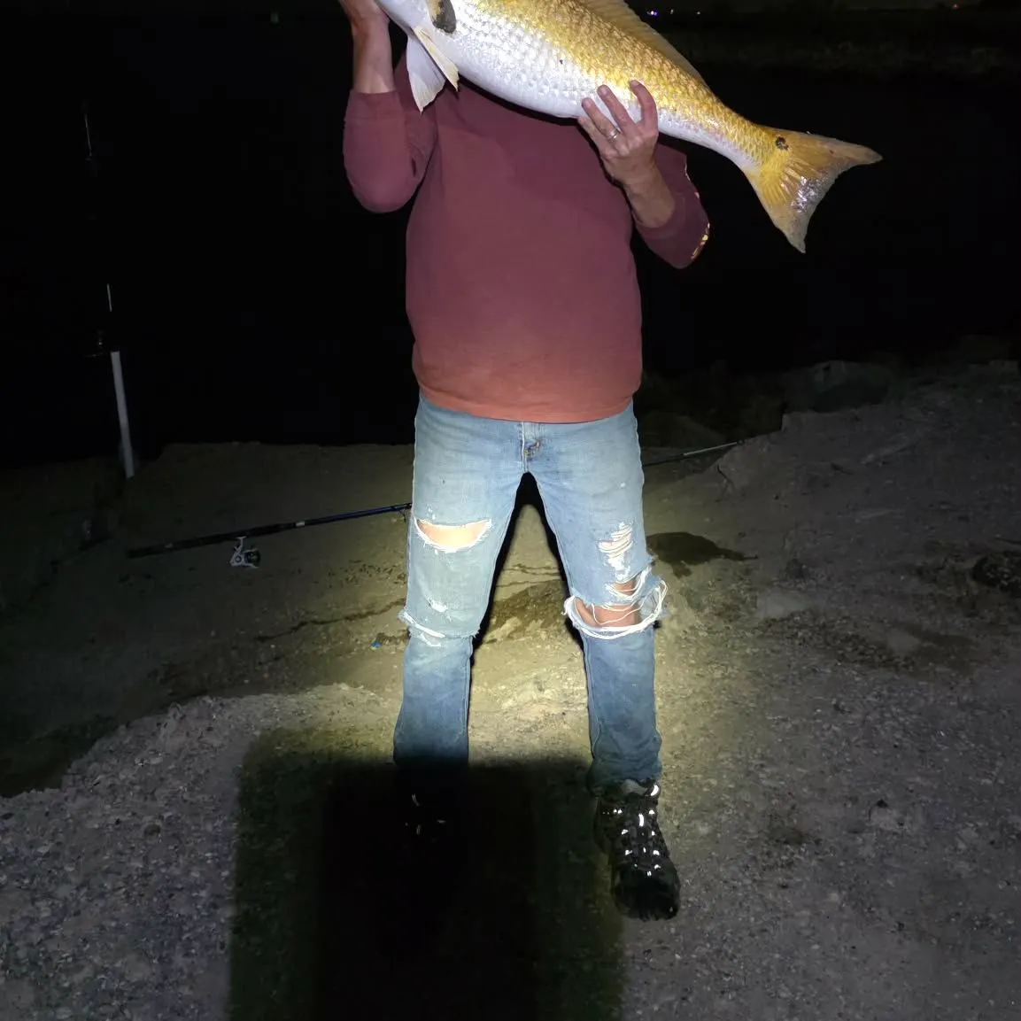 The most recent Red drum catches on Fishbrain