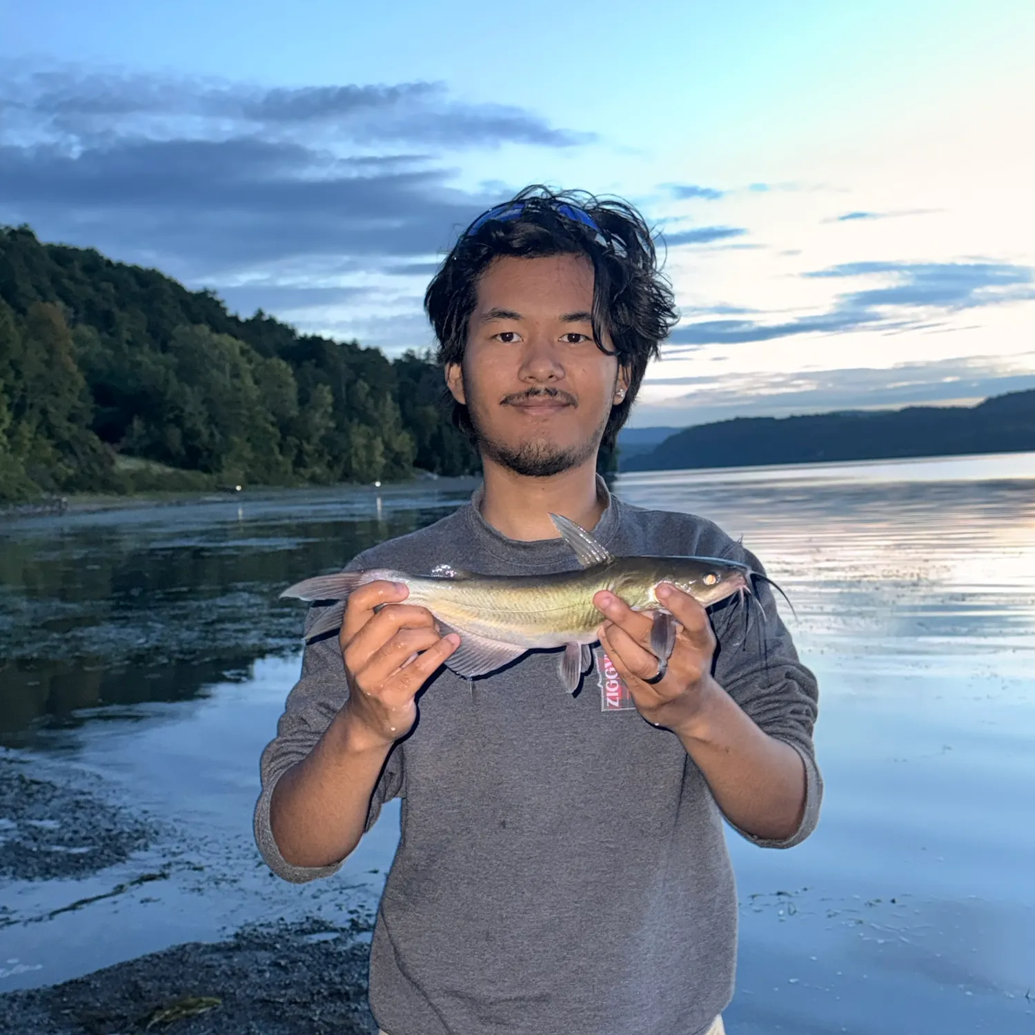 Channel catfish caught on Fishbrain