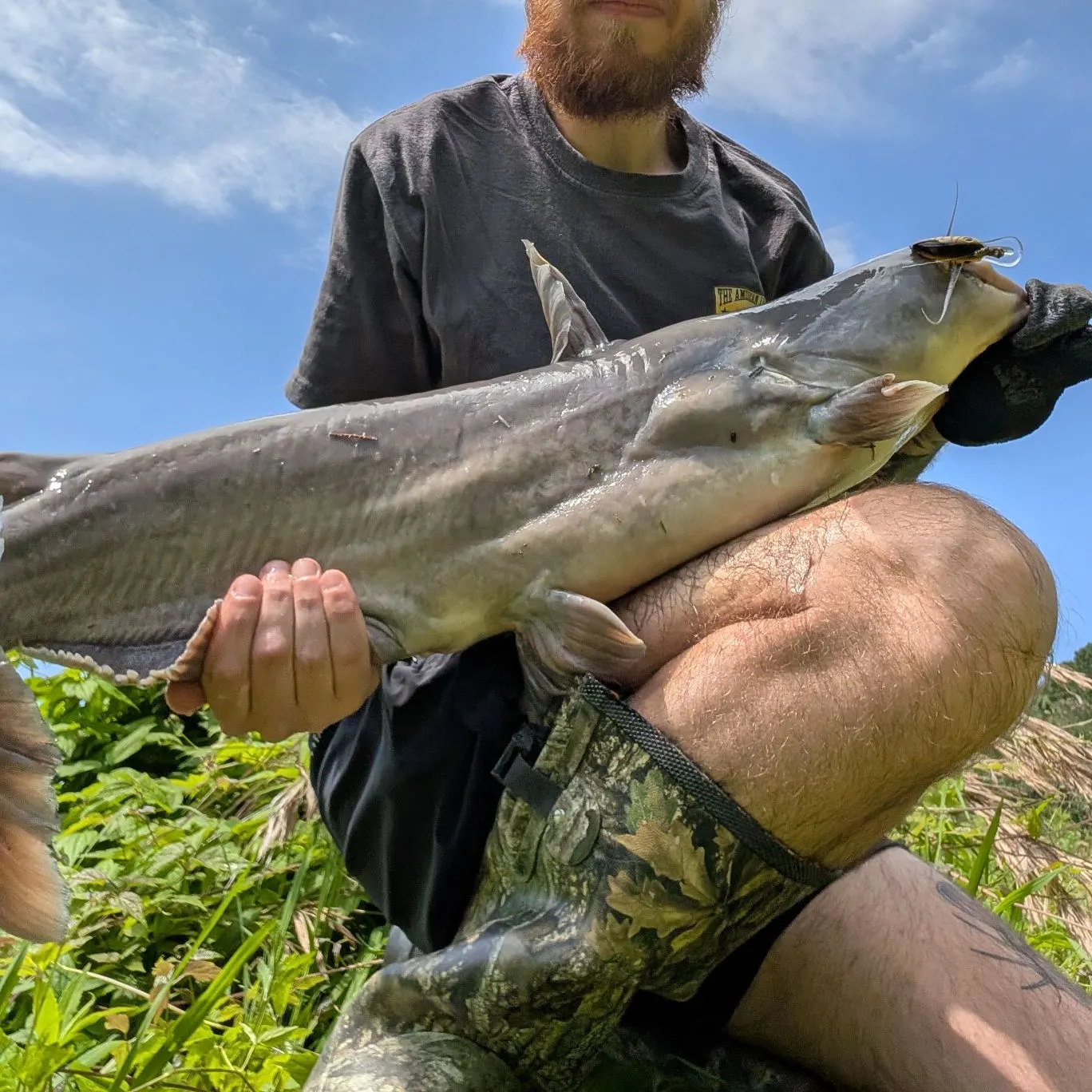 angler catch