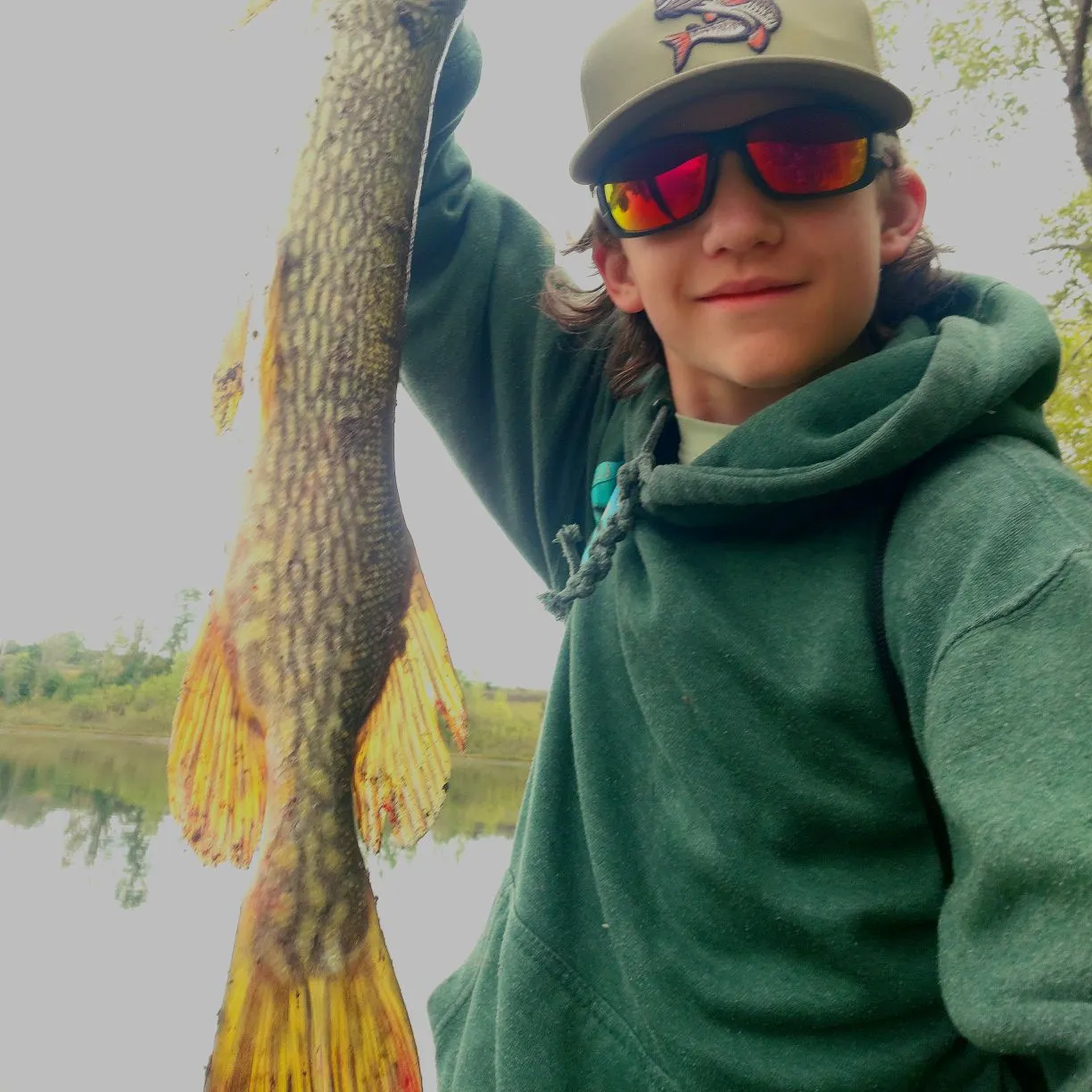 Northern pike caught on Fishbrain